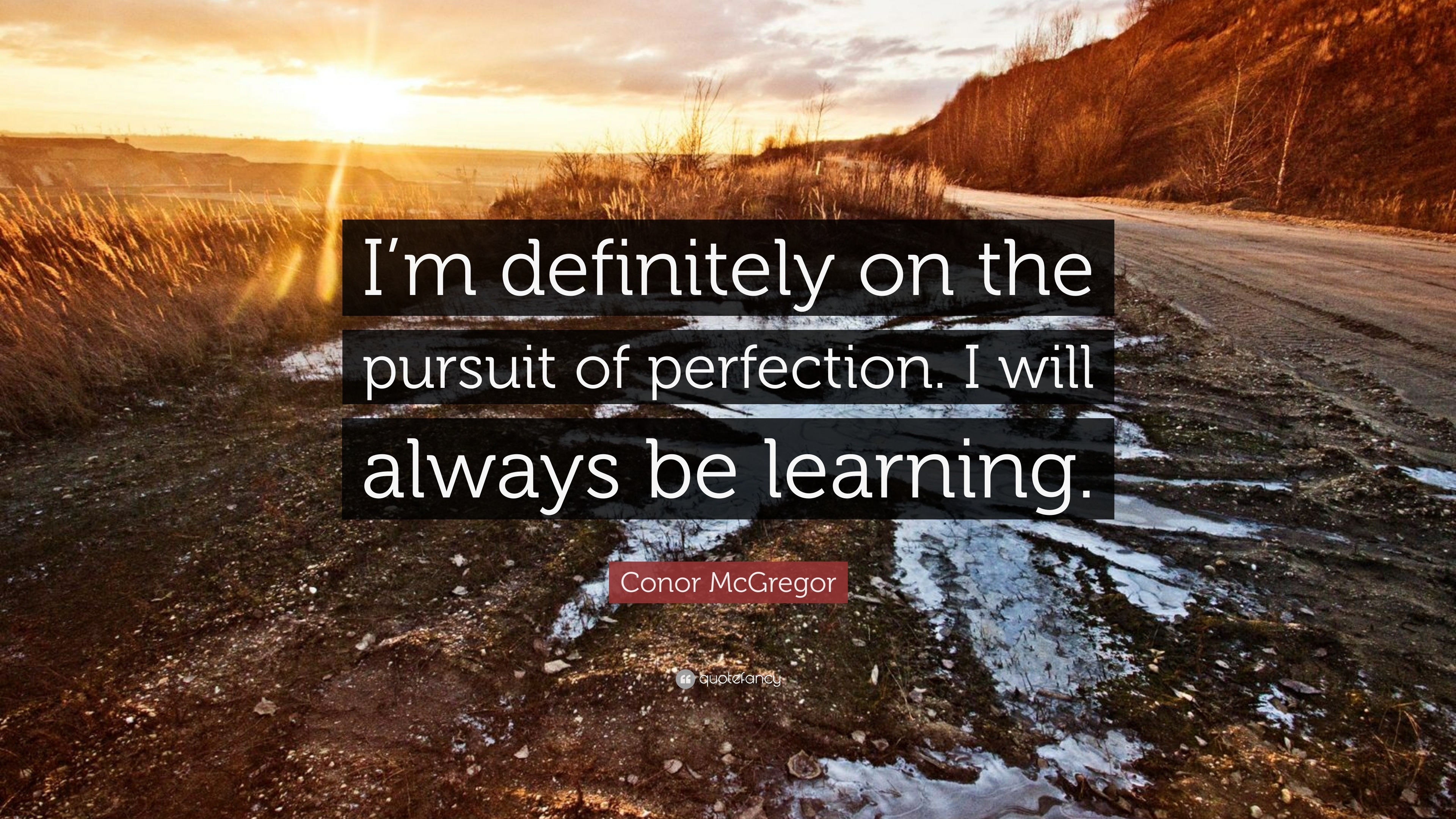 Conor McGregor Quote: “I’m definitely on the pursuit of perfection. I ...