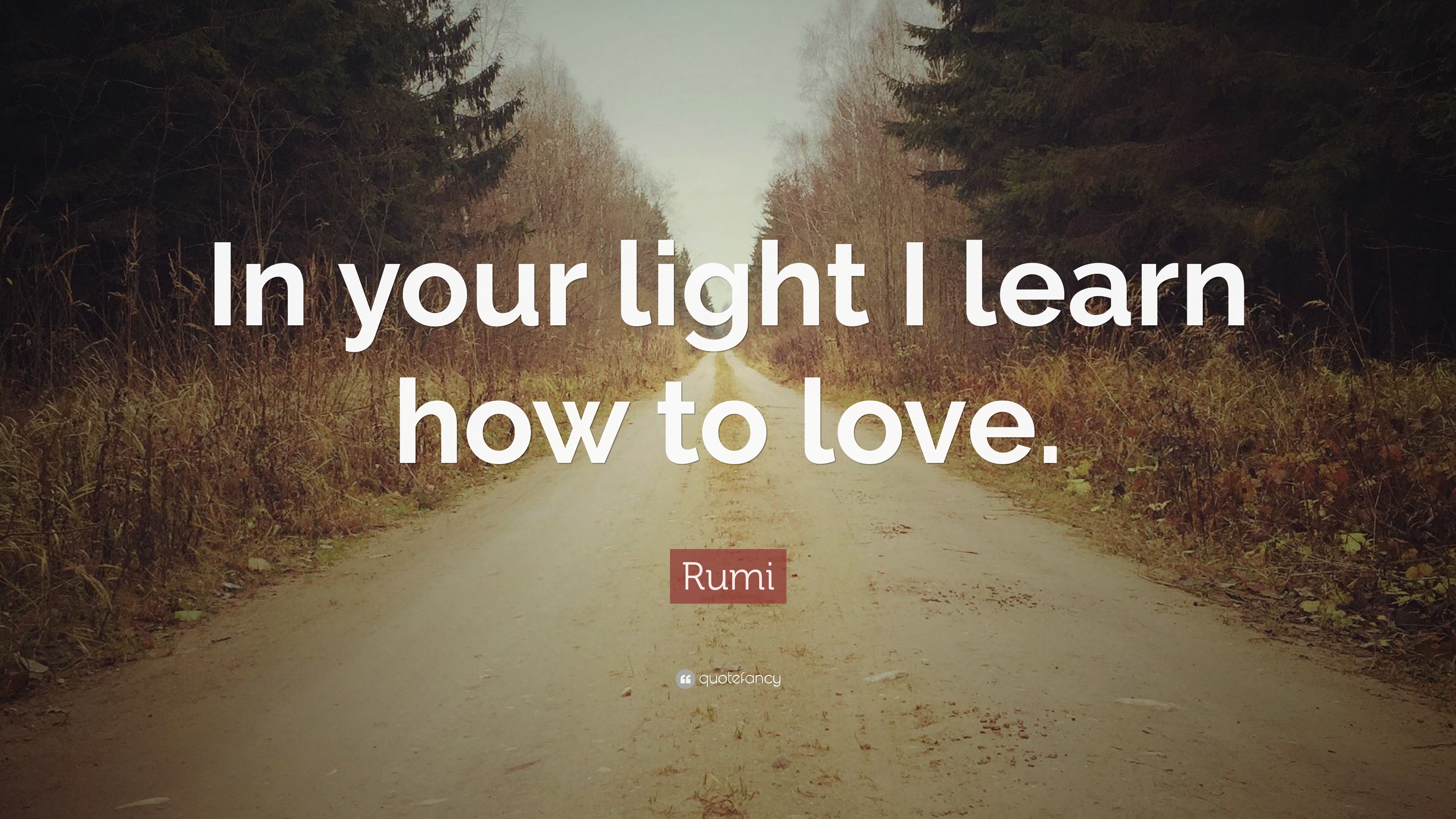 Rumi Quote: “In your light I learn how to love.” (22 wallpapers