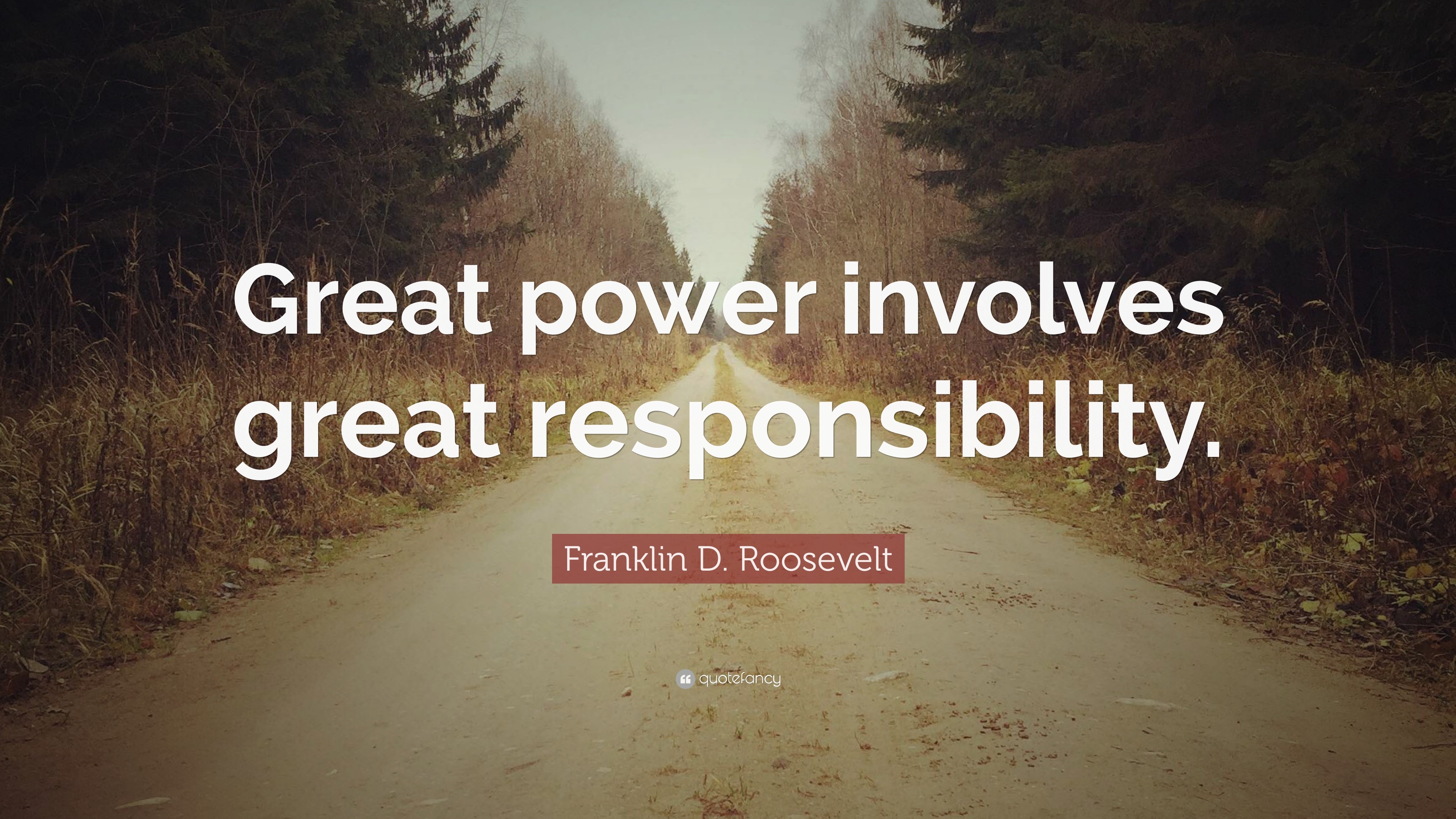 Franklin D. Roosevelt Quote: “Great power involves great responsibility