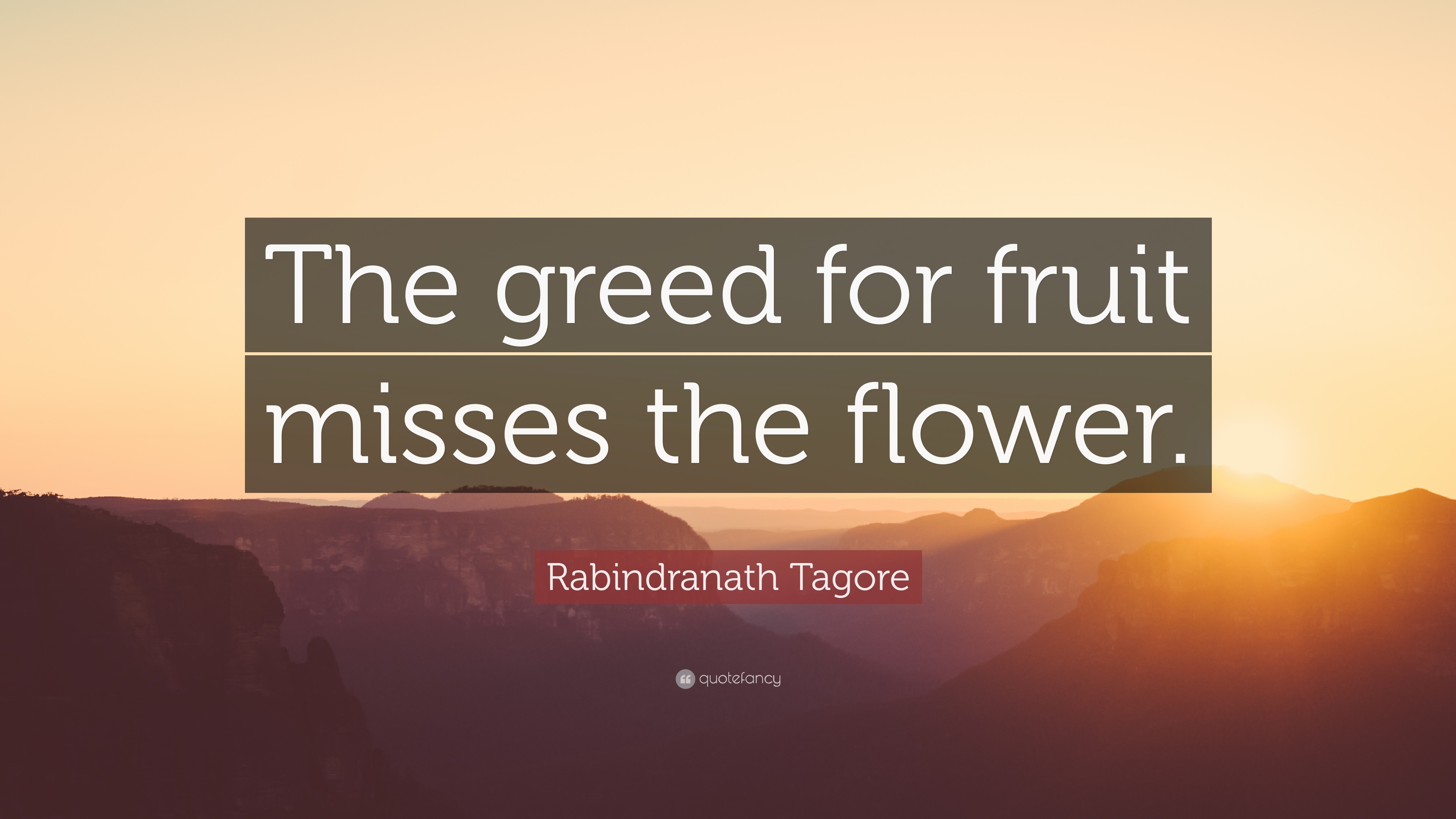 Rabindranath Tagore Quote “The greed for fruit misses the flower.”