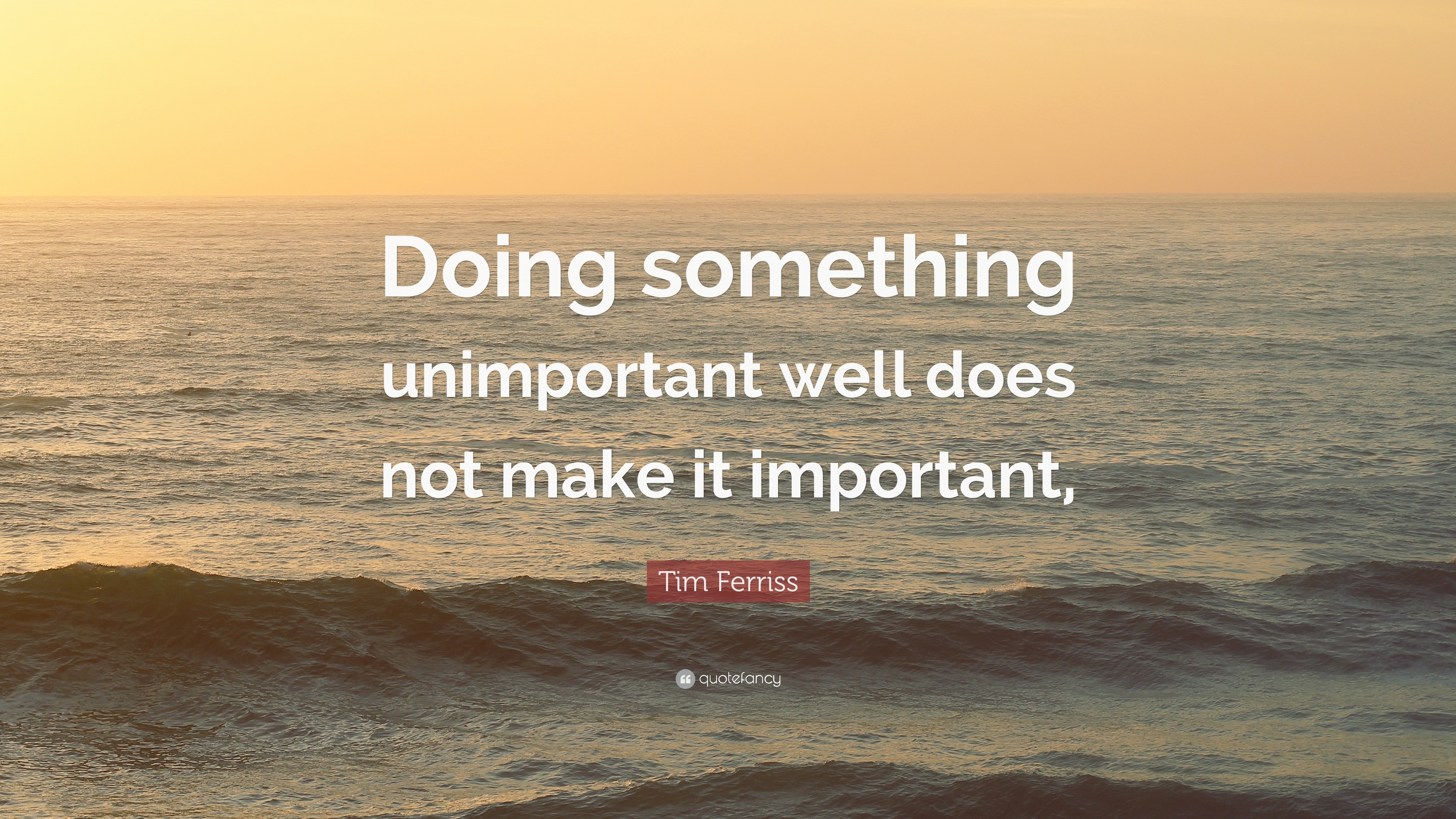 Tim Ferriss Quote: “Doing something unimportant well does not make it ...