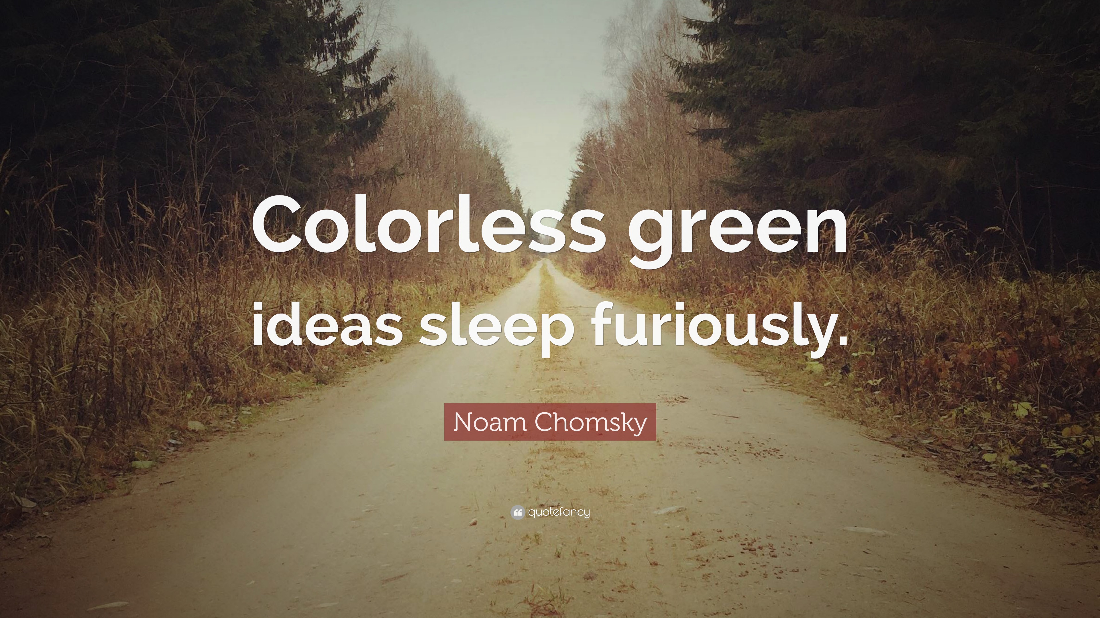 Noam Chomsky Quote: “Colorless green ideas sleep furiously.”