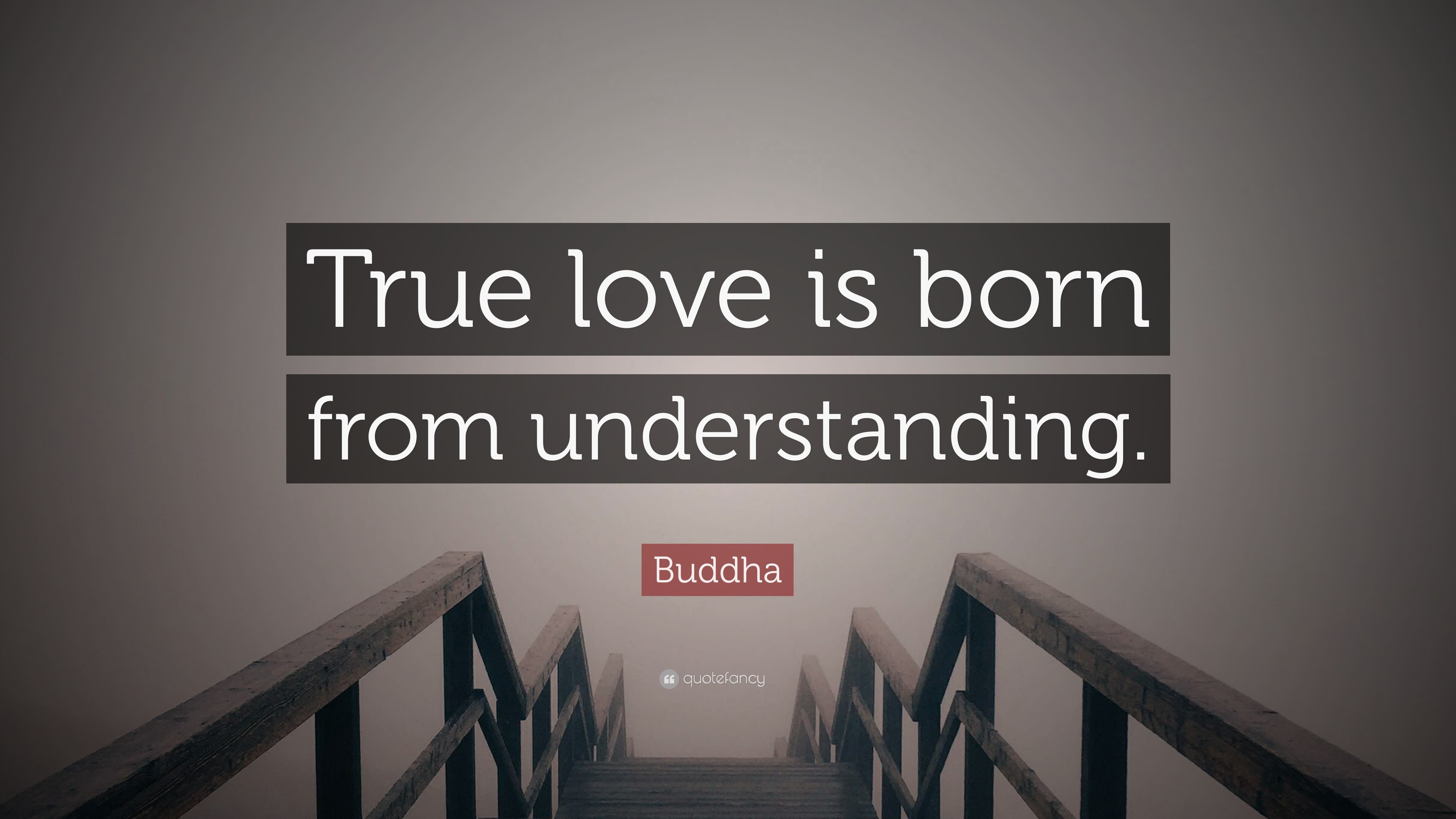 Buddha Quote “True love is born from understanding ”