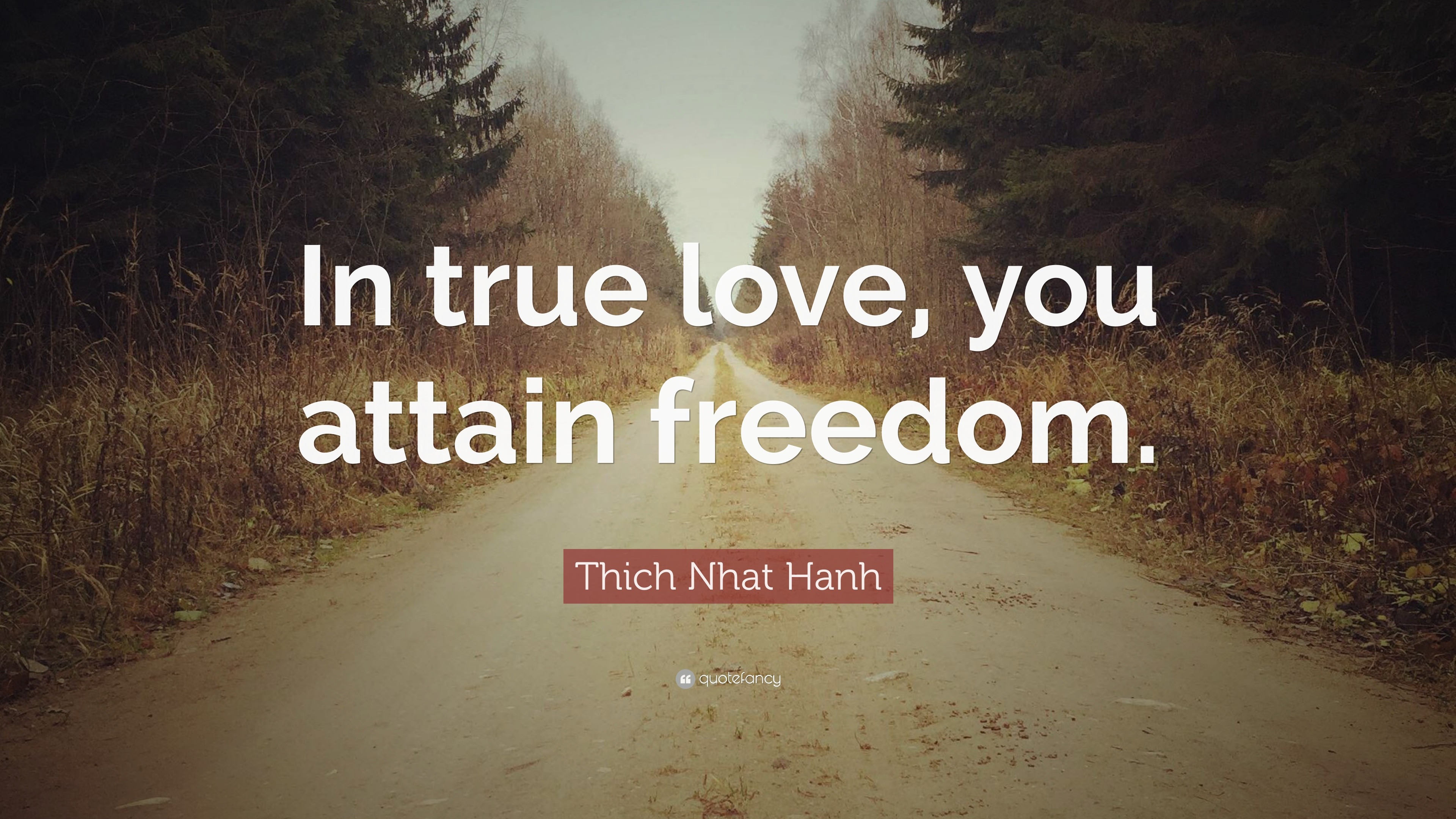 Thich Nhat Hanh Quote “In true love you attain freedom ”