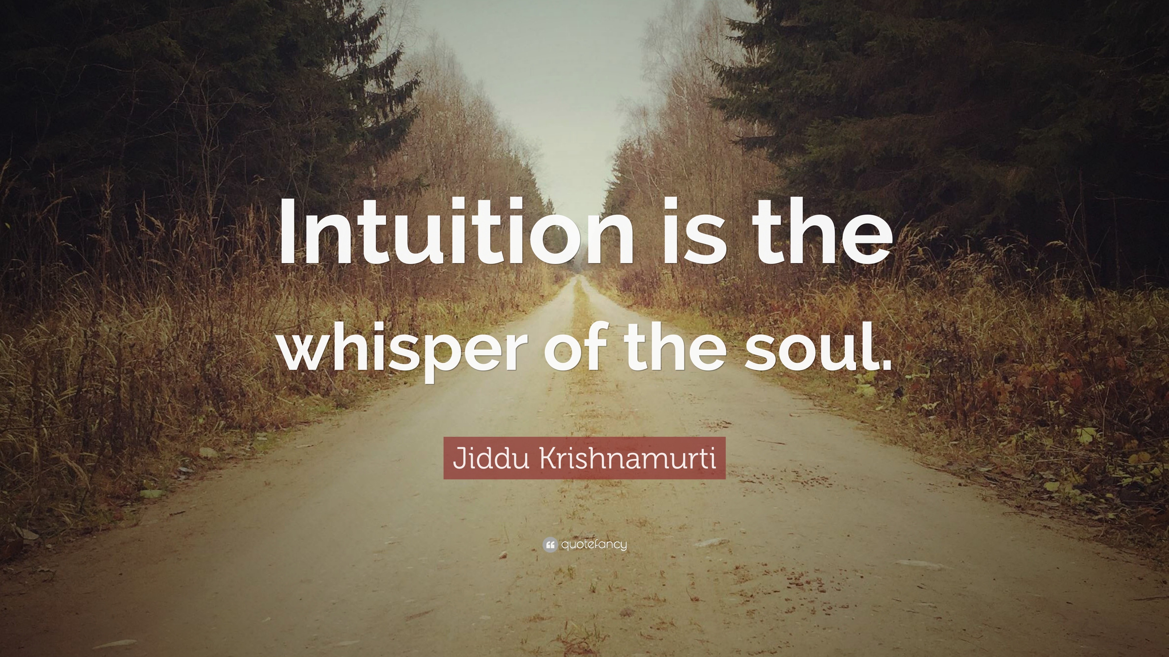 Jiddu Krishnamurti Quote: “Intuition is the whisper of the soul.”