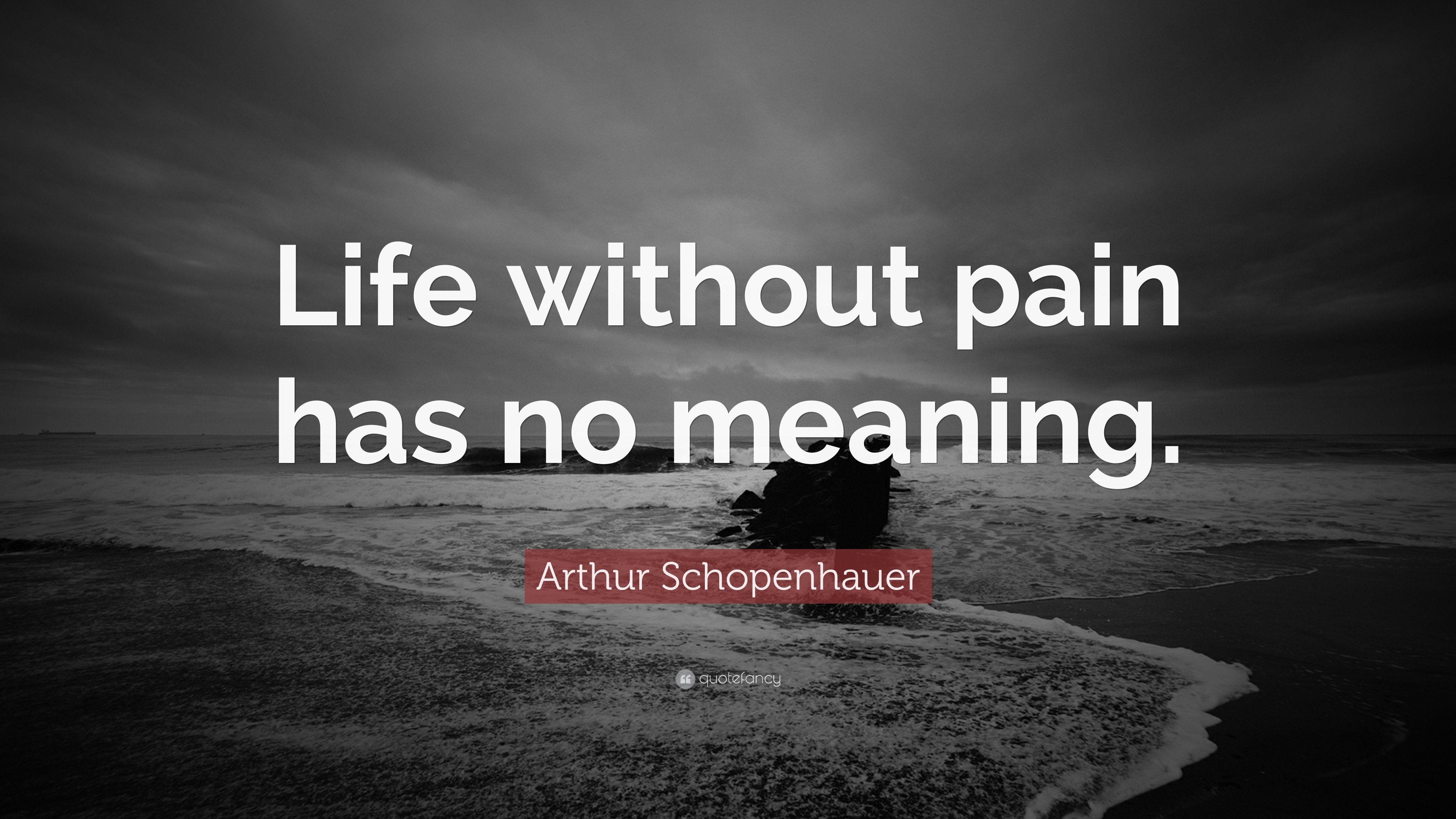 Arthur Schopenhauer Quote “Life without pain has no meaning ”