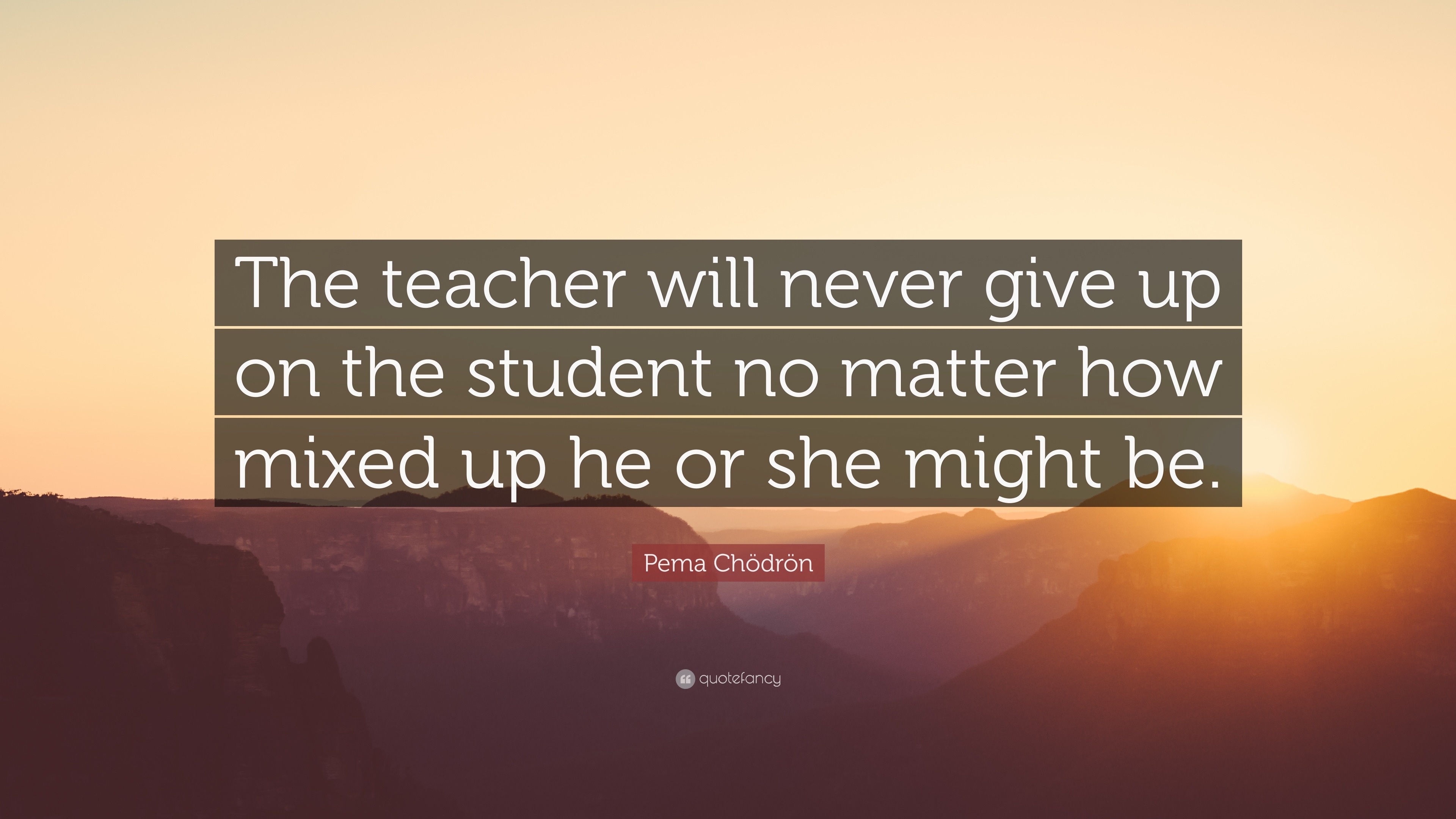 Pema Chödrön Quote: “the Teacher Will Never Give Up On The Student No 