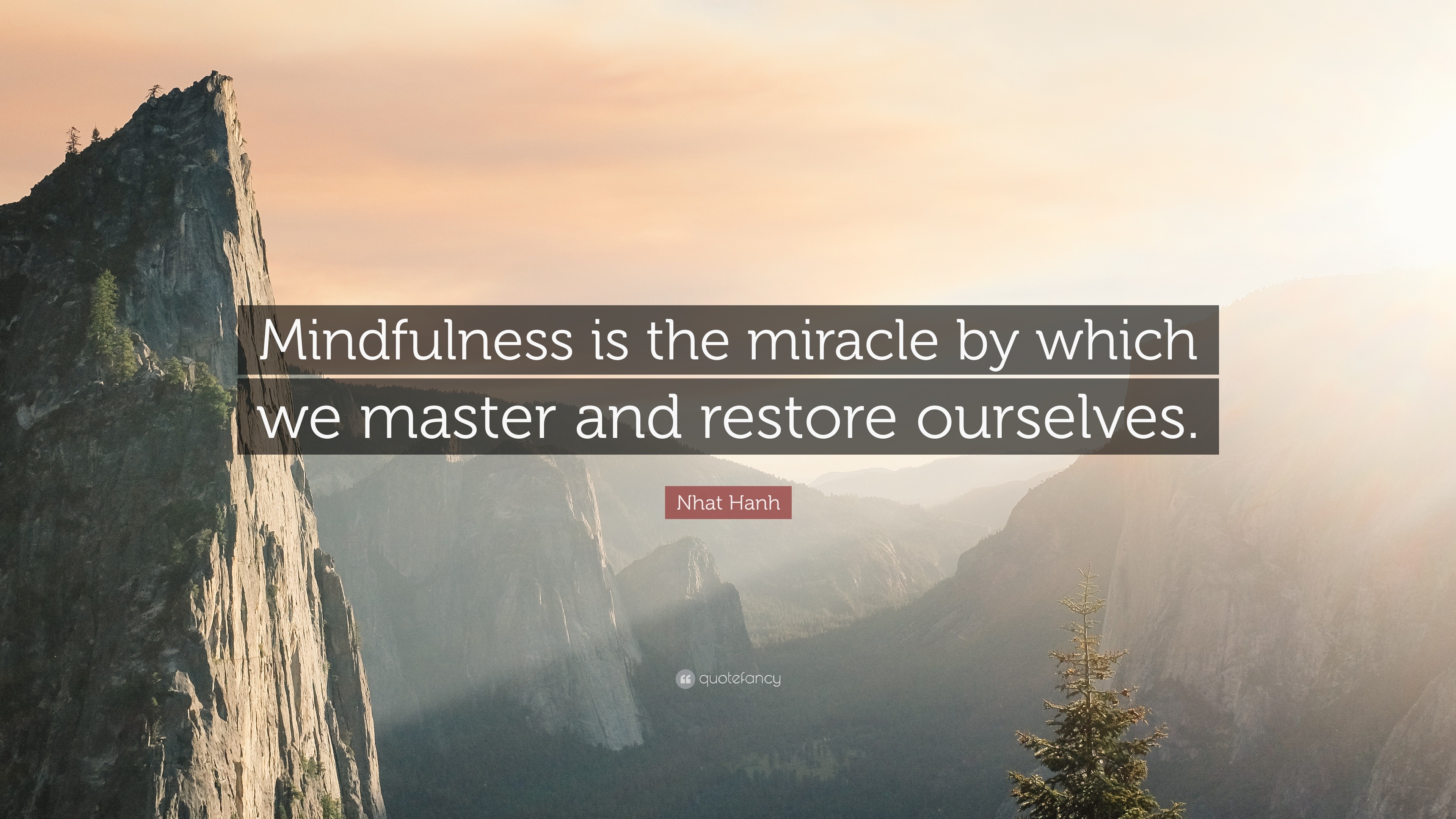 Nhat Hanh Quote: “Mindfulness is the miracle by which we master and ...