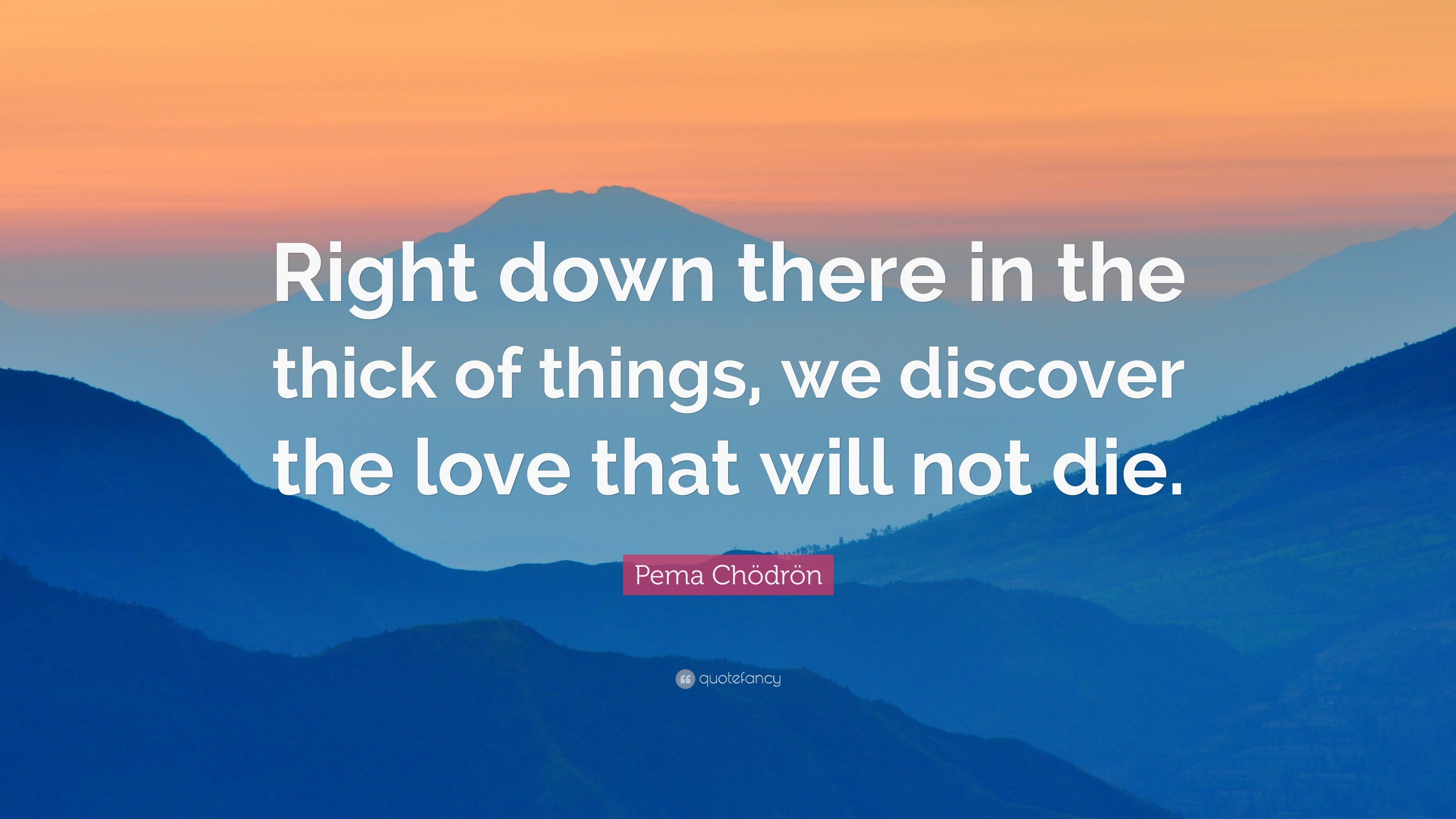 Pema Chödrön Quote “Right down there in the thick of things, we