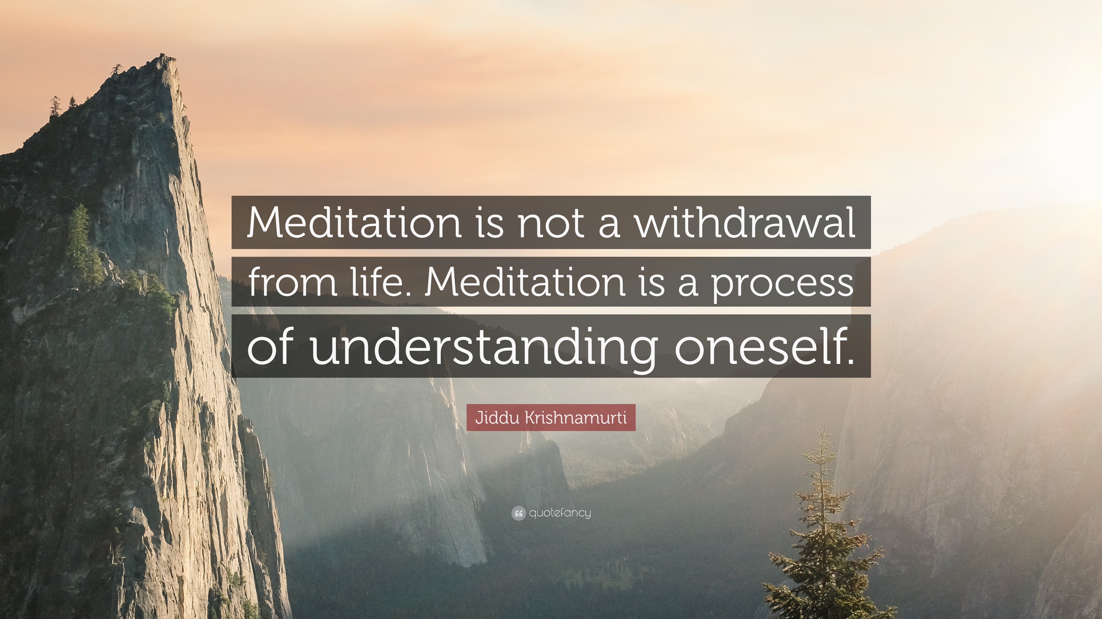 Jiddu Krishnamurti Quote: “Meditation is not a withdrawal from life ...