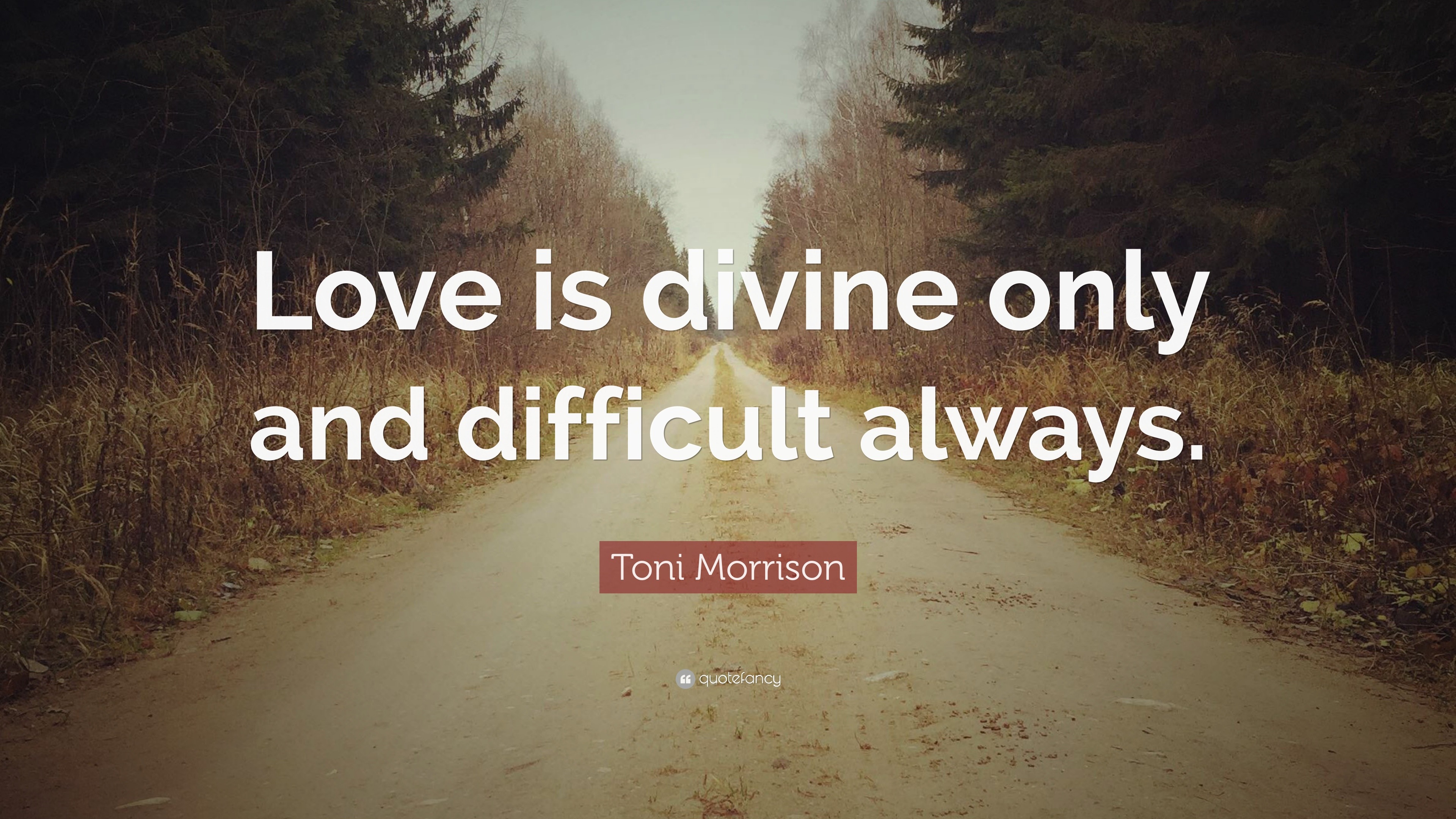 Toni Morrison Quote: “Love is divine only and difficult always.”