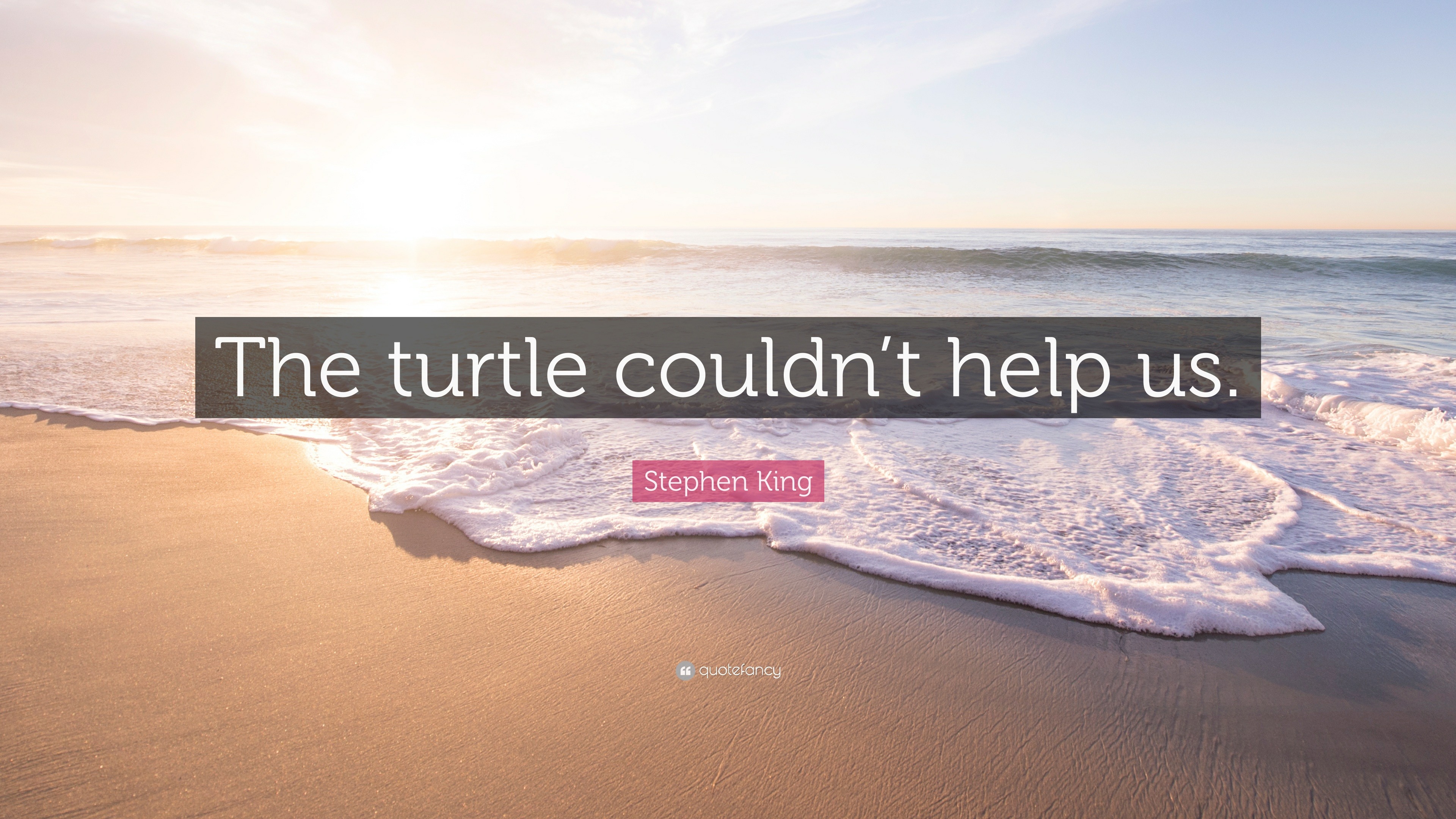 Stephen King Quote: “The turtle couldn’t help us.”