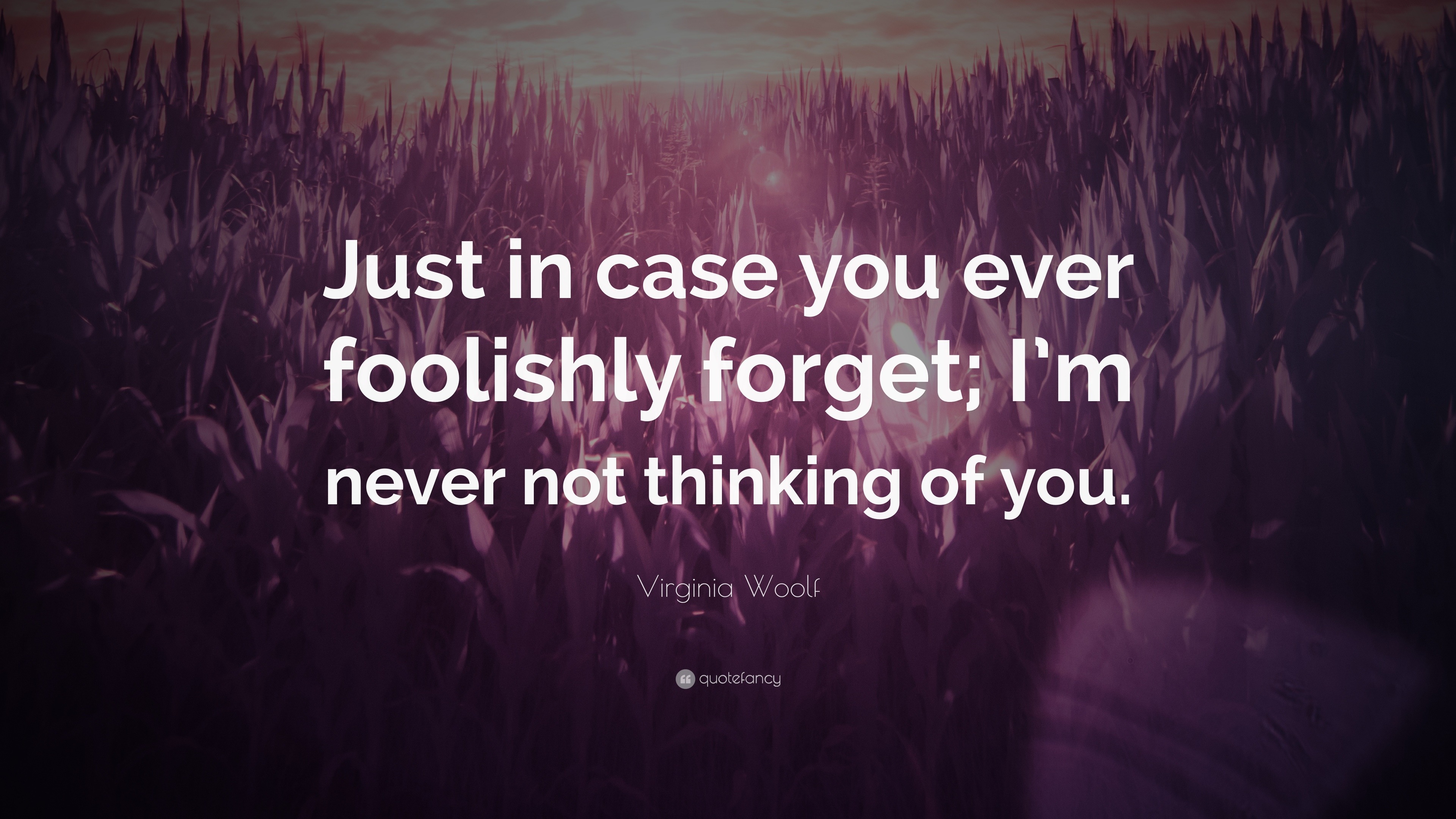 Virginia Woolf Quote: “Just in case you ever foolishly forget; I’m ...