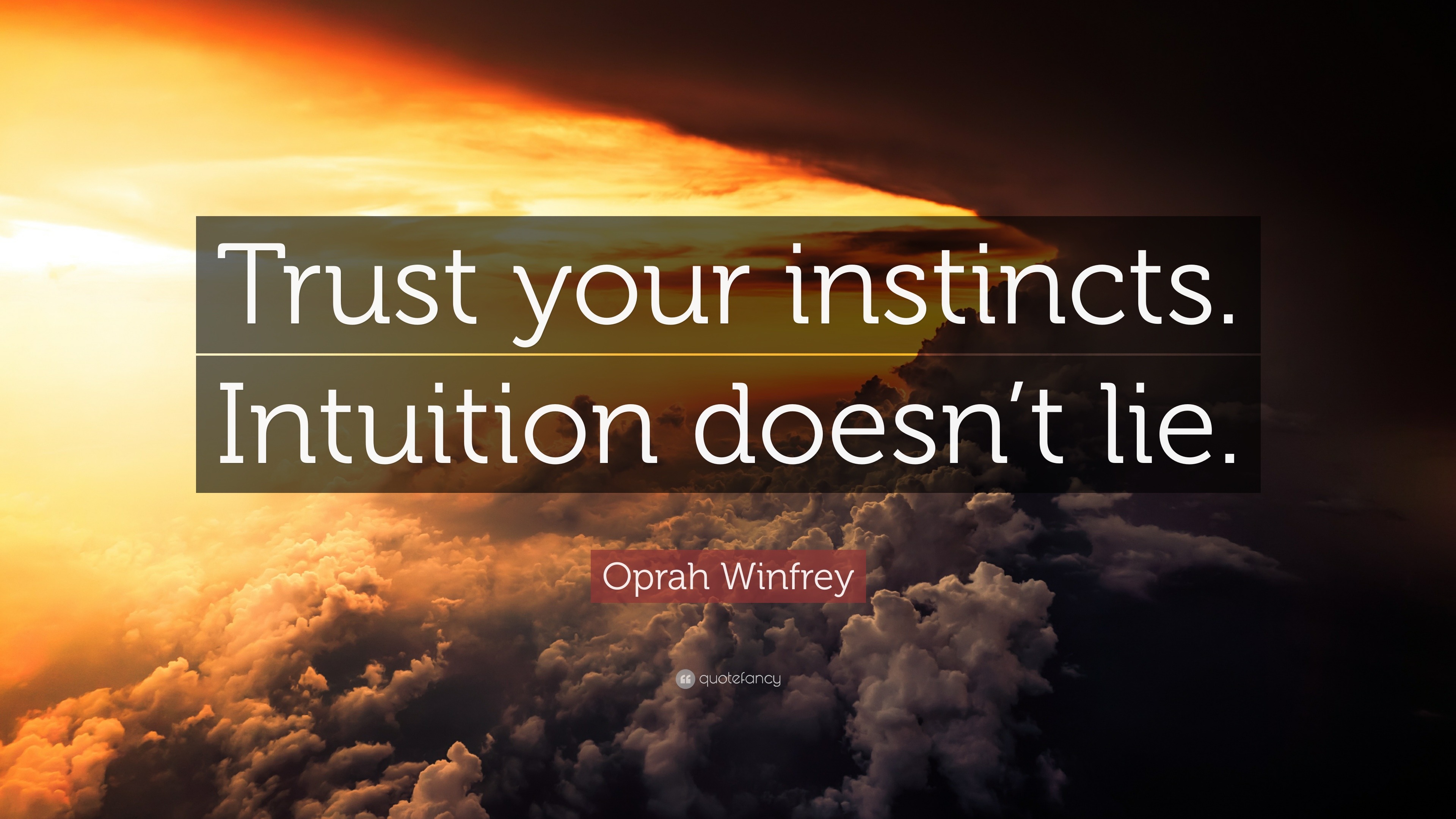 Oprah Winfrey Quote: “Trust your instincts. Intuition doesn’t lie.”