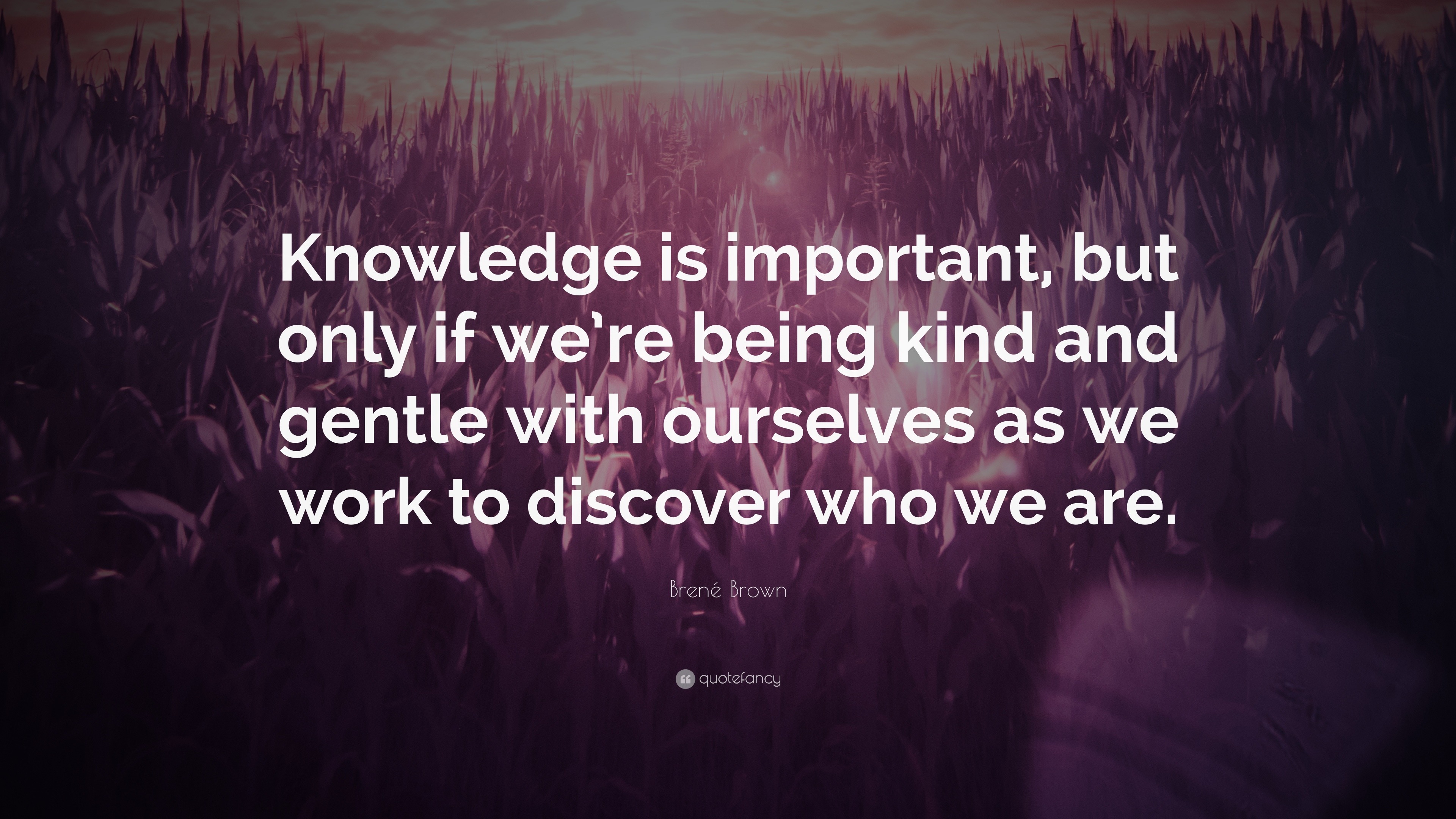 Brené Brown Quote: “Knowledge is important, but only if we’re being