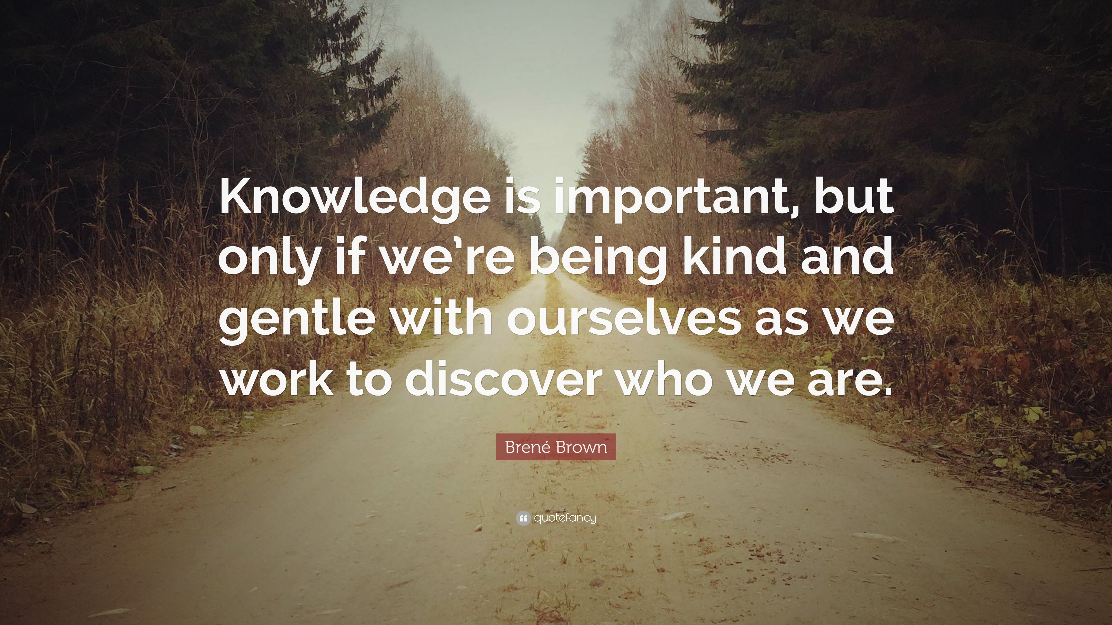 Brené Brown Quote: “Knowledge is important, but only if we’re being ...