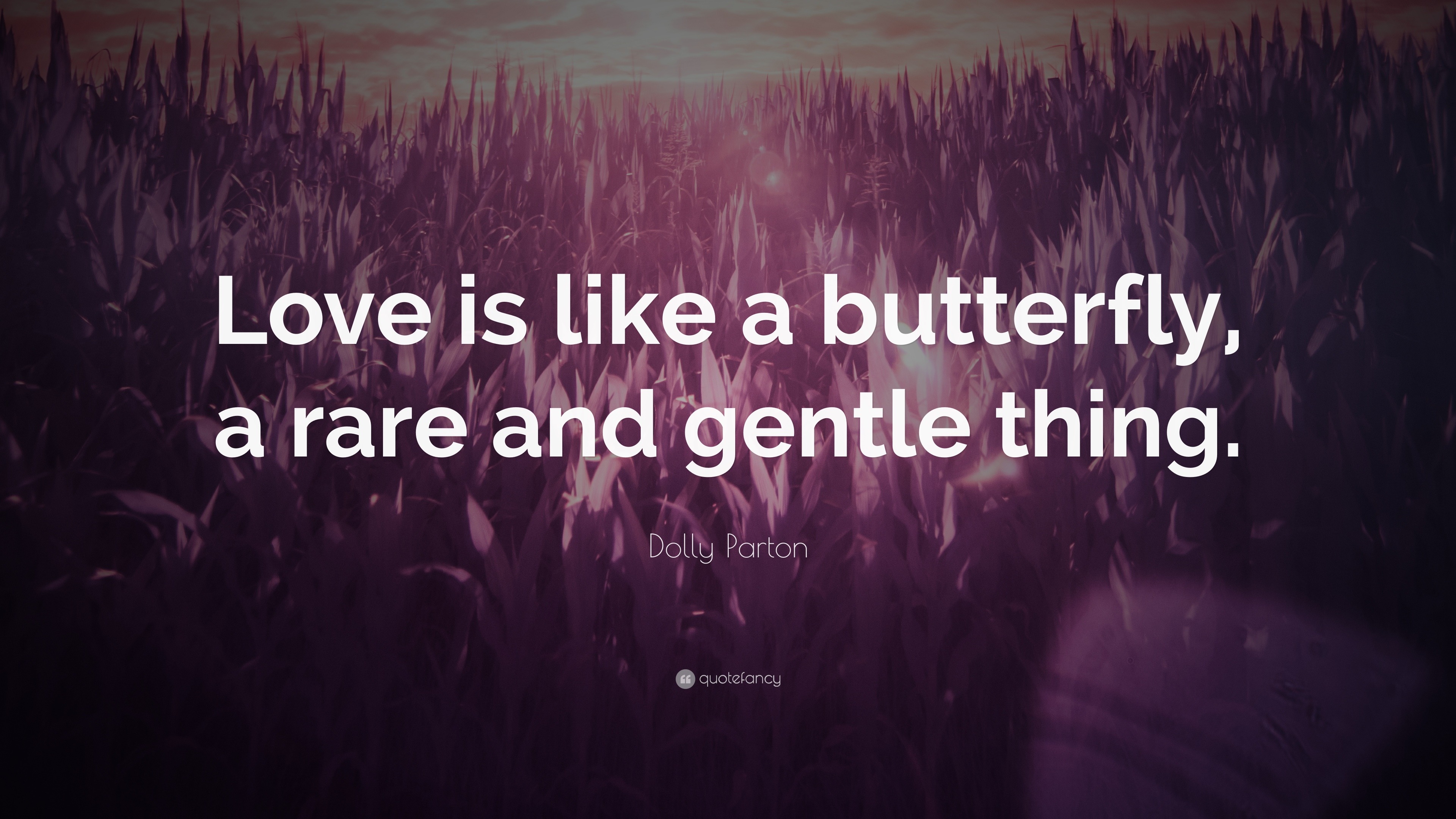 Dolly Parton Quote: “Love is like a butterfly, a rare and gentle thing.”