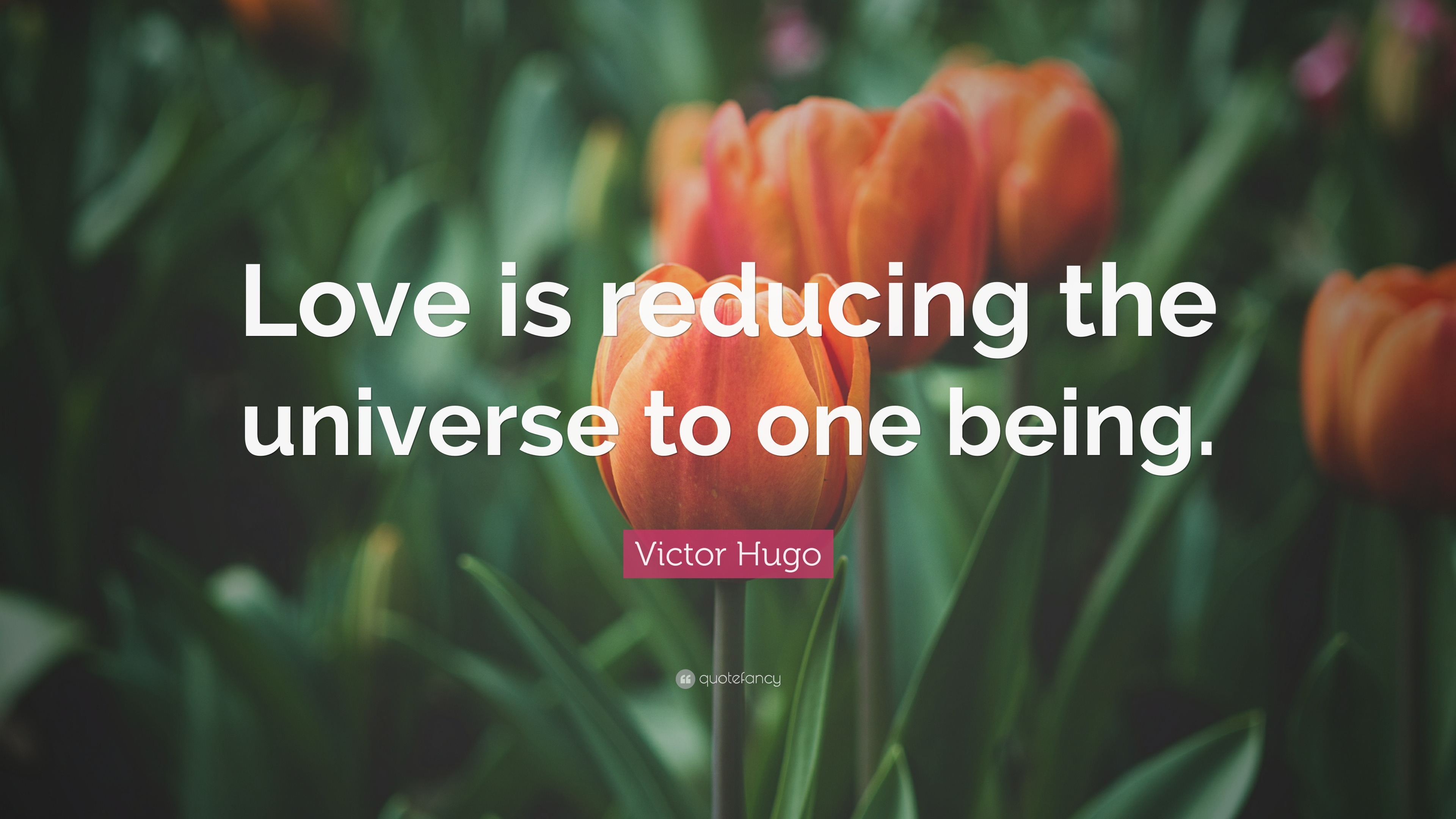 Victor Hugo Quote: “Love is reducing the universe to one being.”