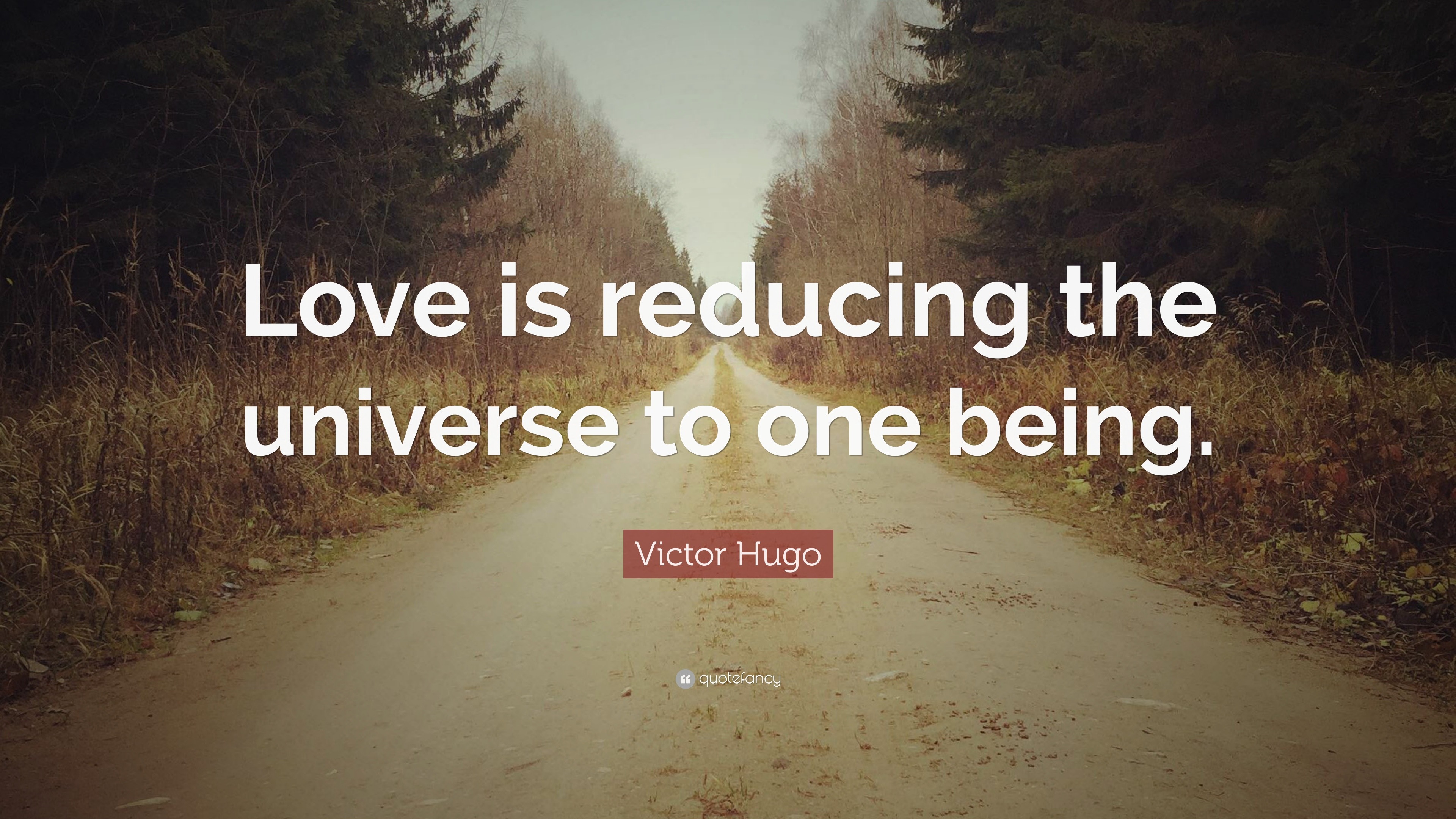 Victor Hugo Quote: “Love is reducing the universe to one being.”