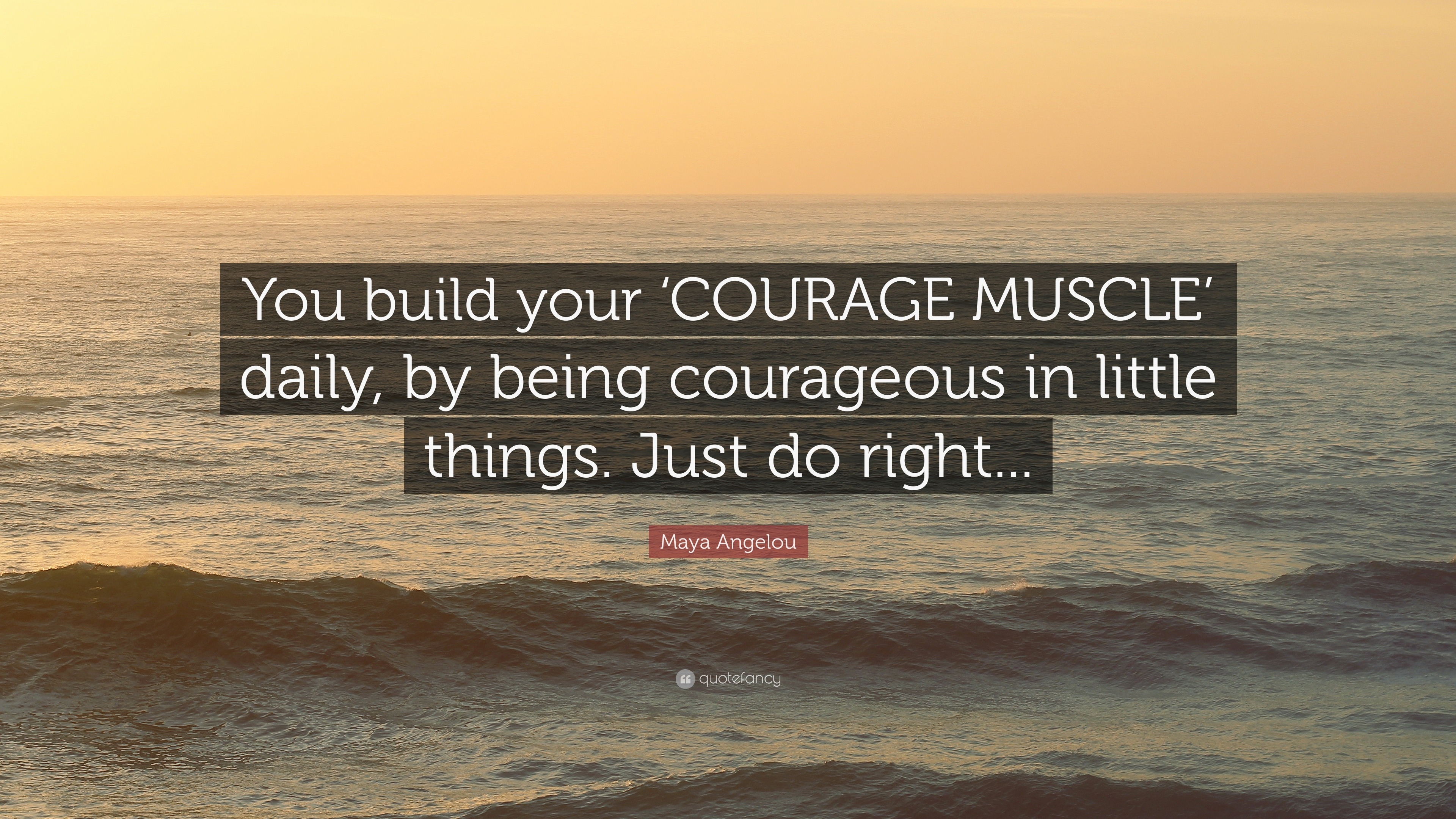 maya angelou courage quote