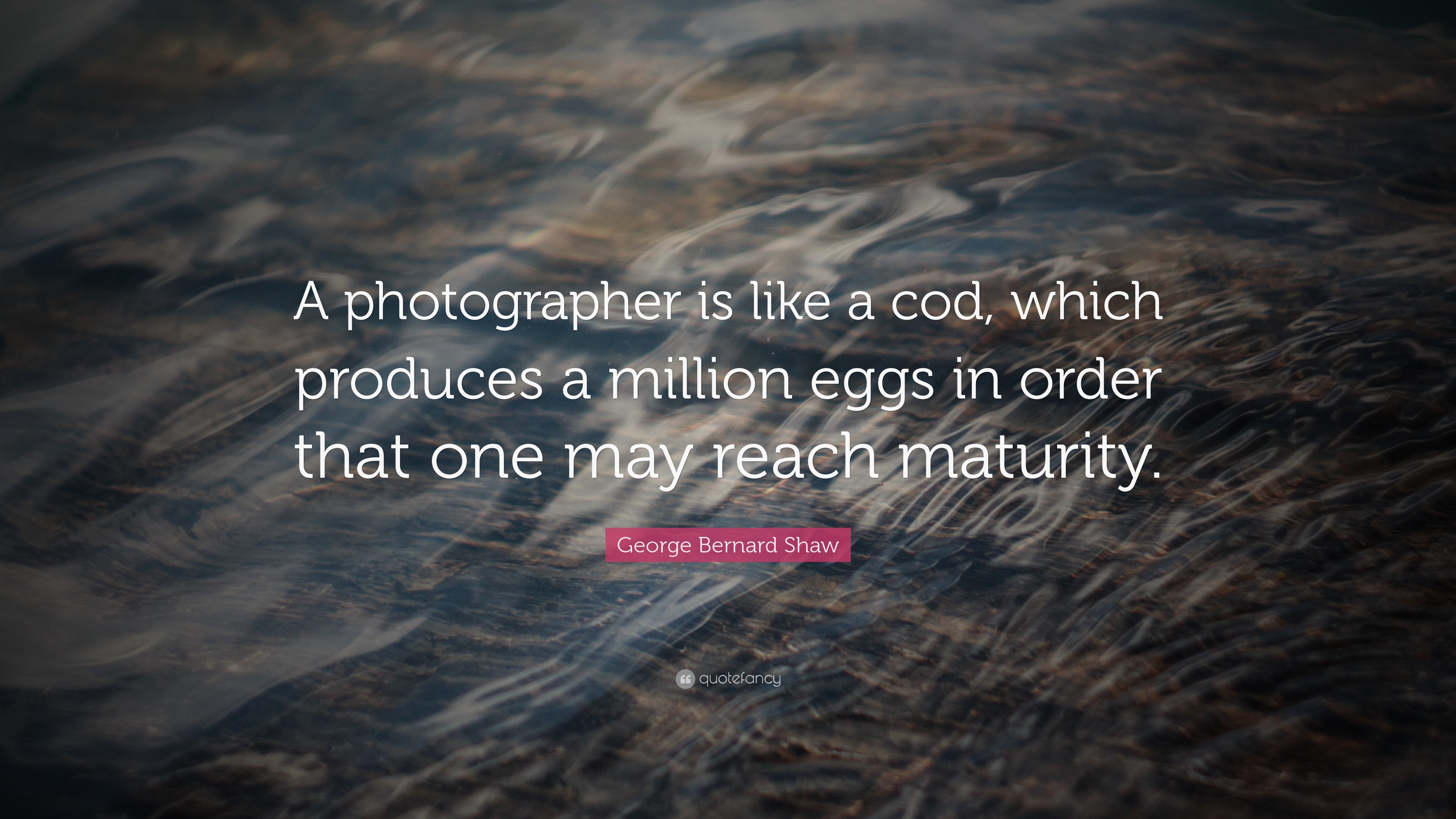 George Bernard Shaw Quote “A photographer is like a cod which produces a