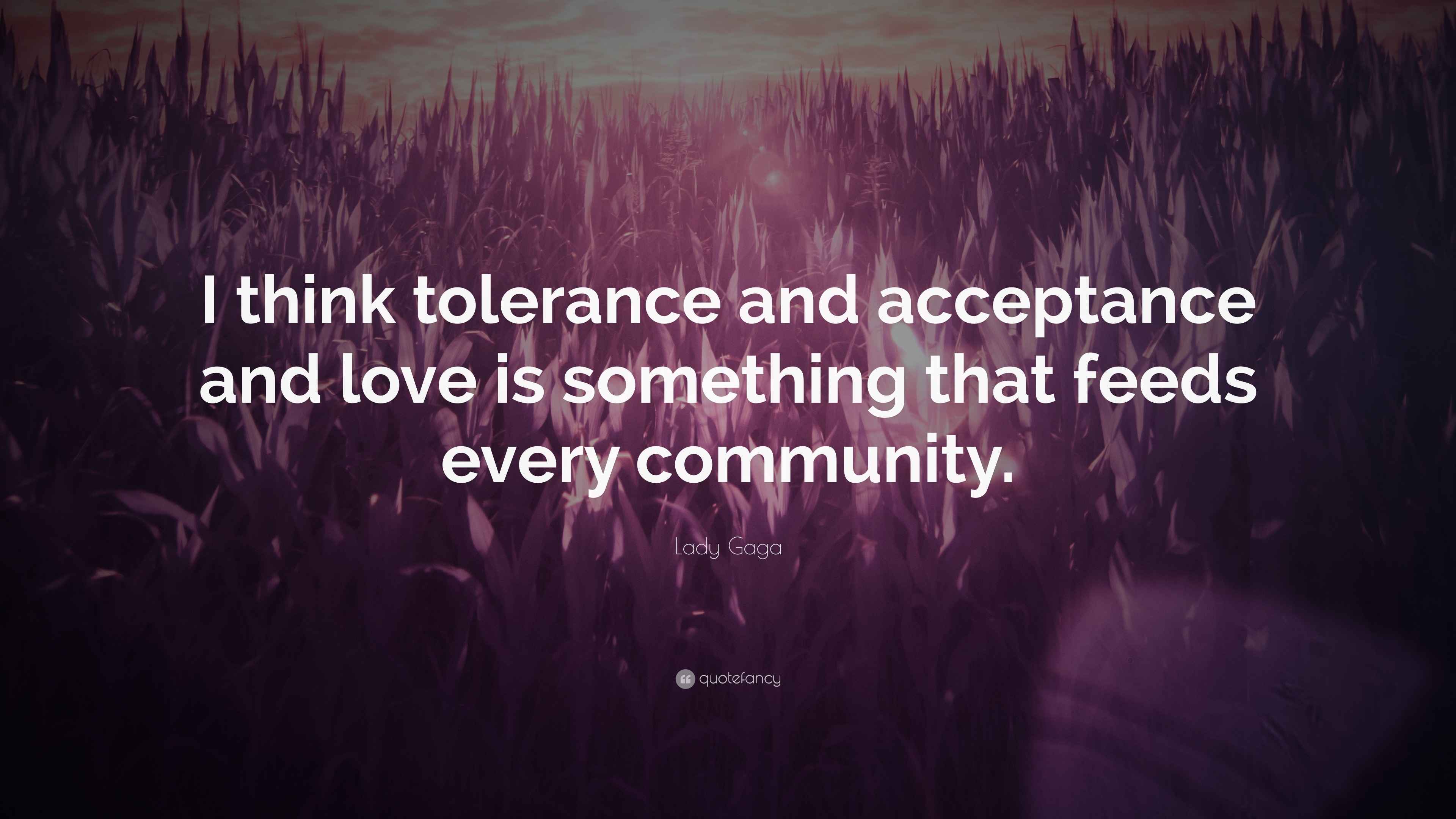 Lady Gaga Quote: “I think tolerance and acceptance and love is