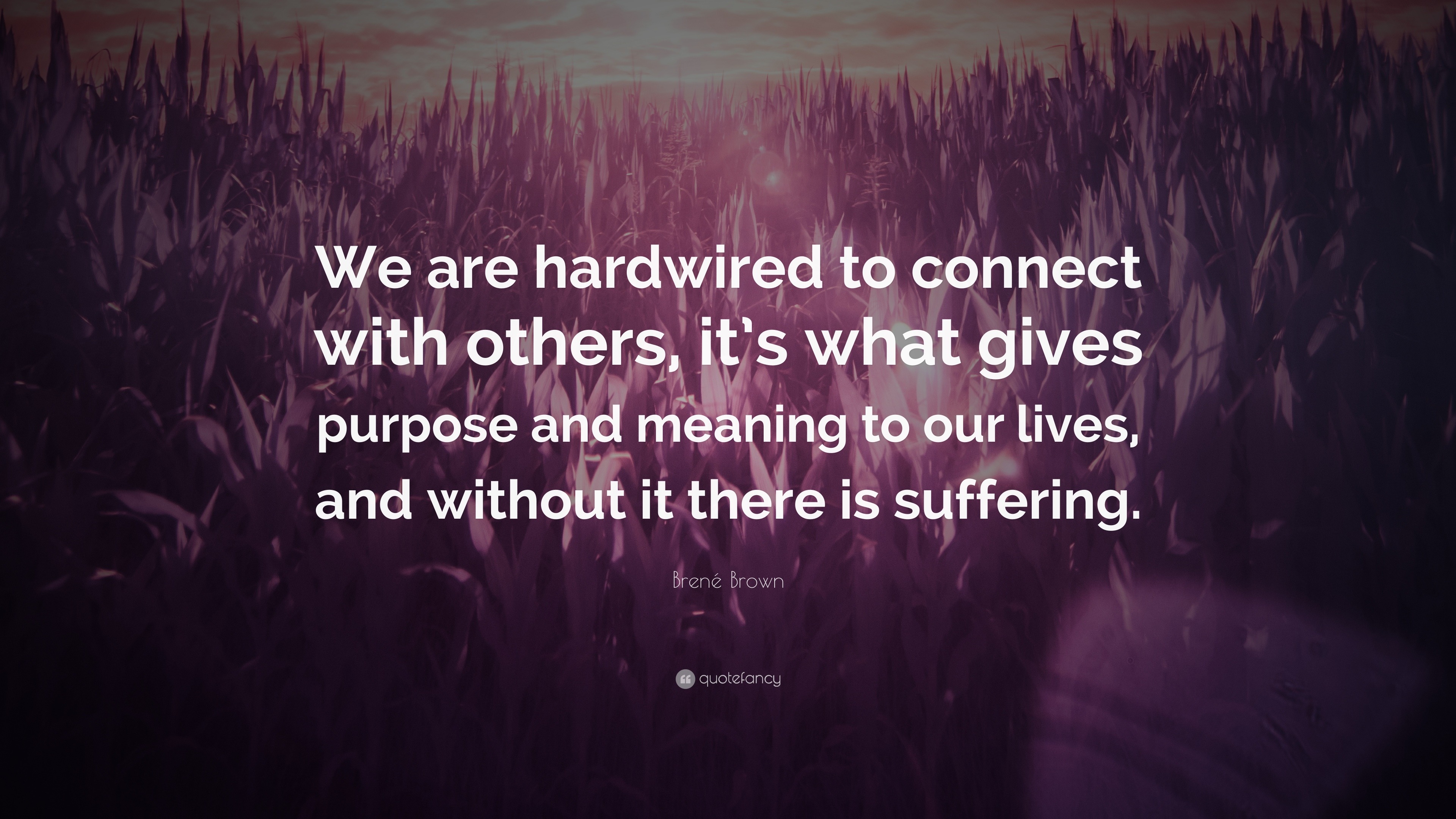 Brené Brown Quote “We are hardwired to connect with