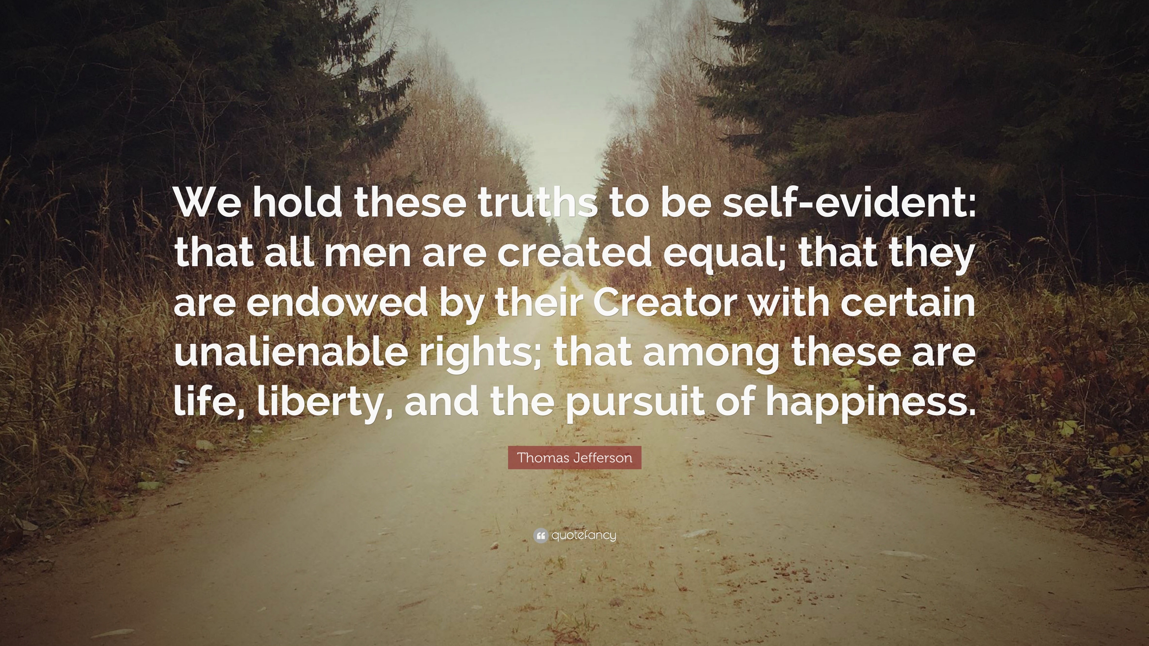 We Hold These Truths To Be Self Evident Full Quote - Bonni Christi