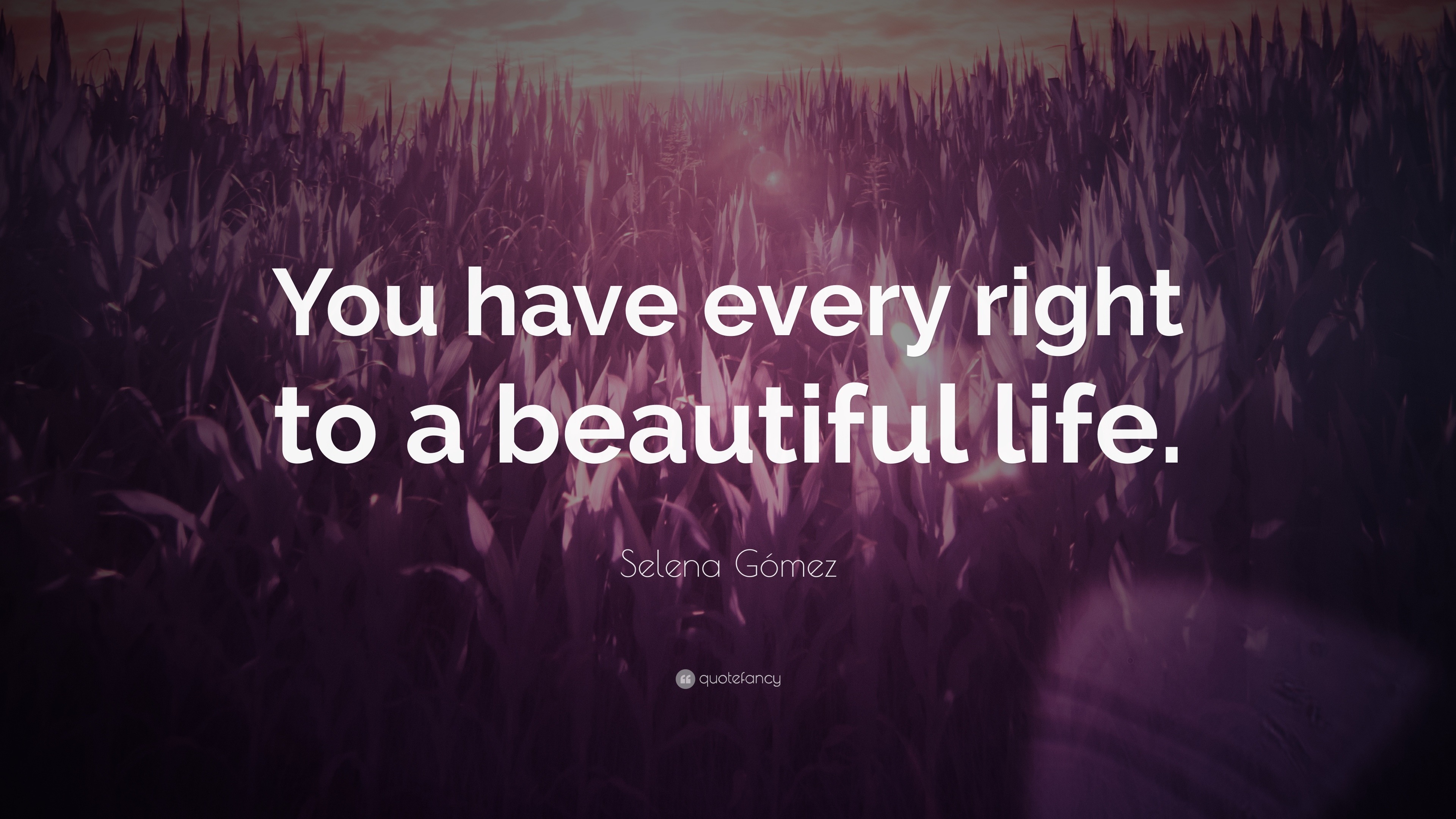 Selena G³mez Quote “You have every right to a beautiful life ”