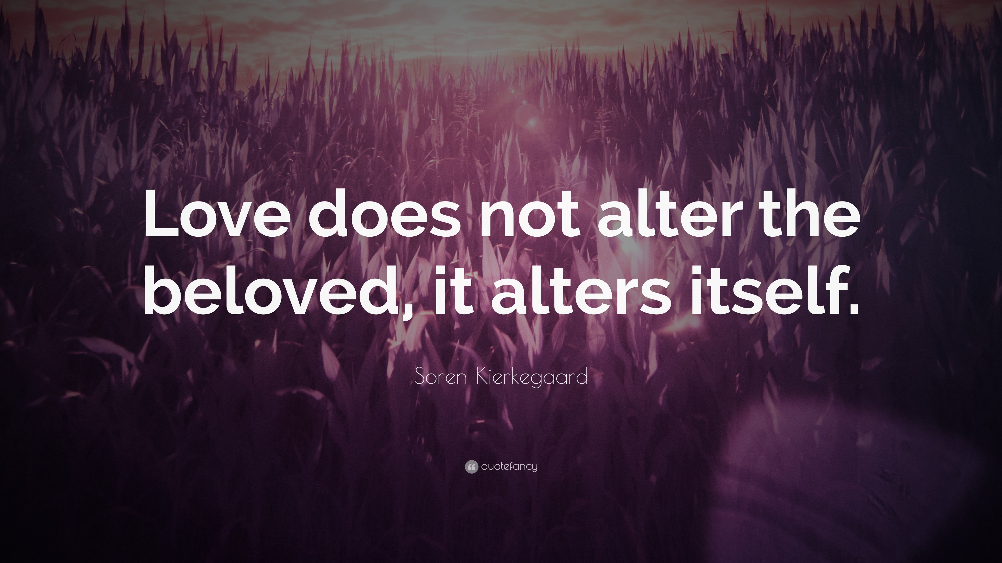Soren Kierkegaard Quote: “Love does not alter the beloved, it alters ...