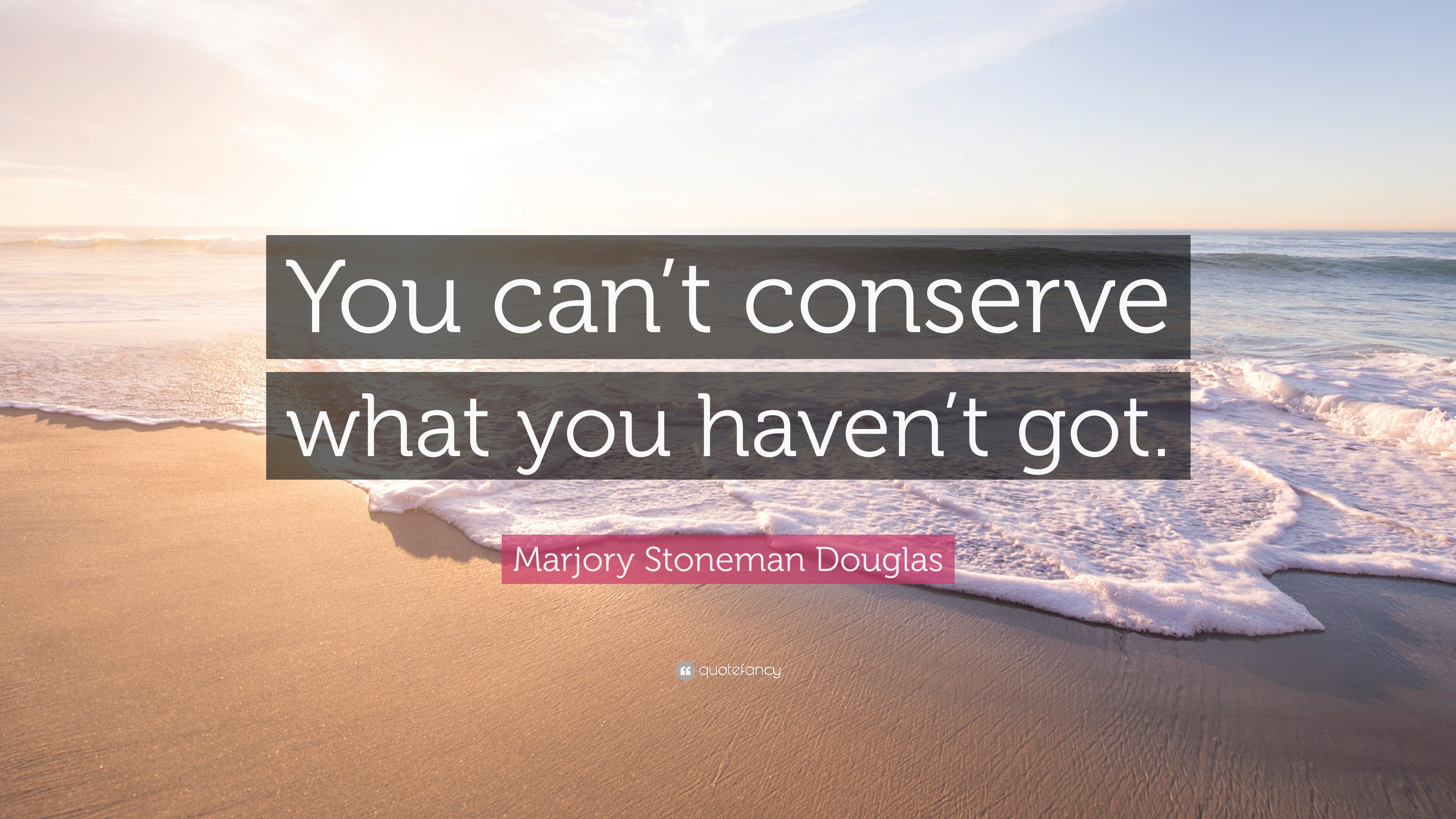 Marjory Stoneman Douglas Quote: "You can't conserve what you haven't got."