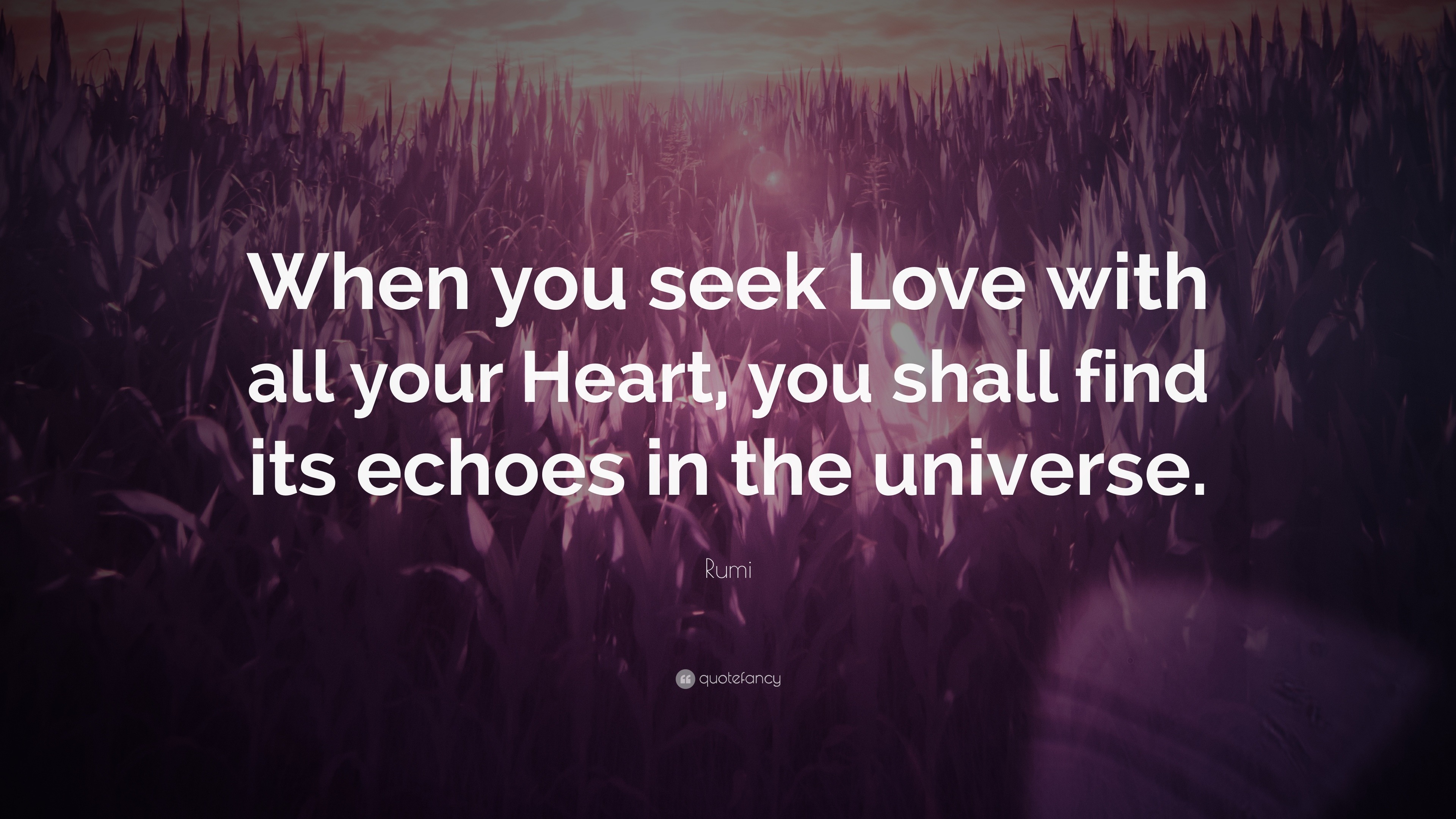 Rumi Quote “When you seek Love with all your Heart you shall find