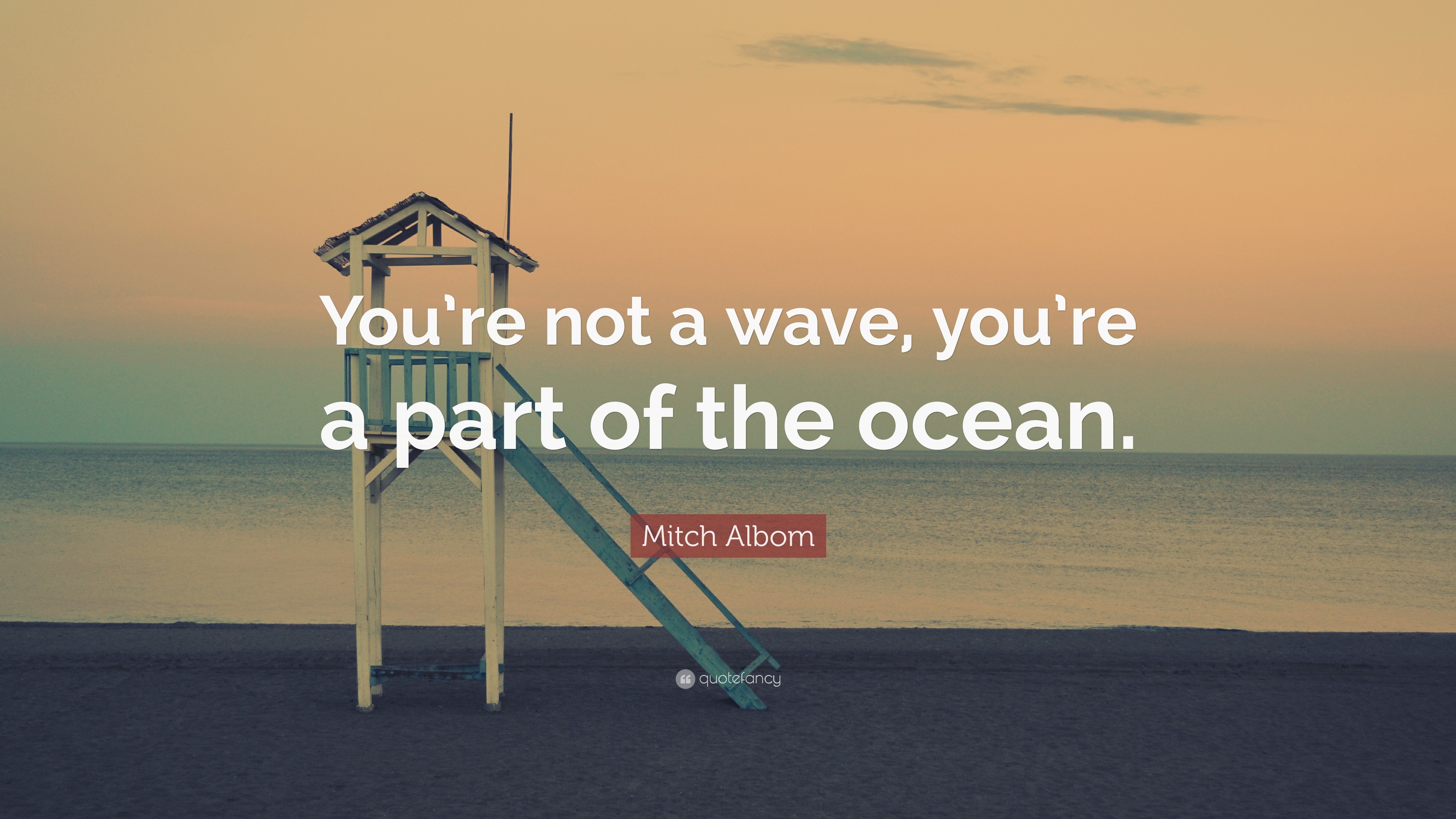 Mitch Albom Quote: “You’re not a wave, you’re a part of the ocean.”