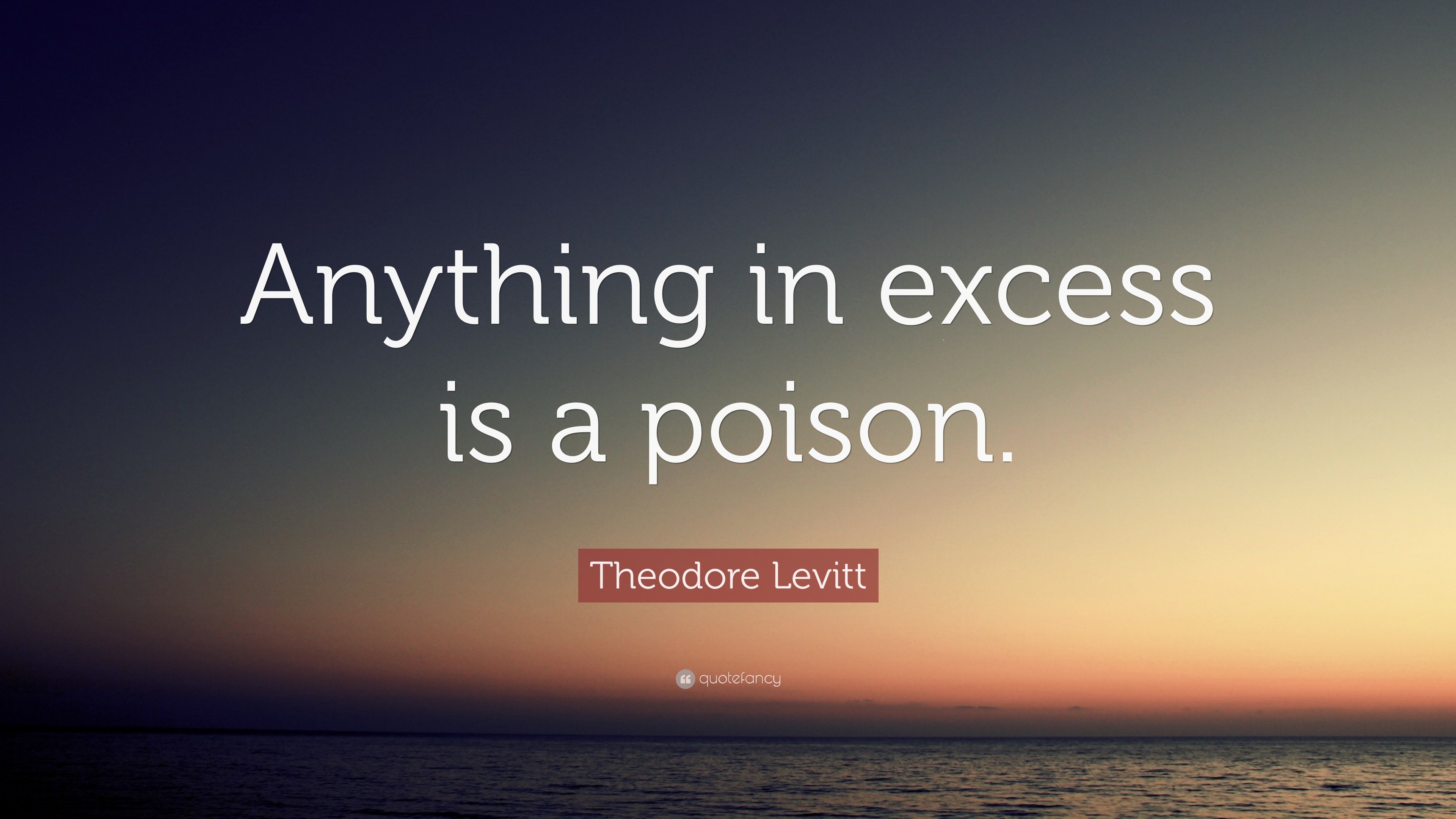 Theodore Levitt Quote “anything In Excess Is A Poison”