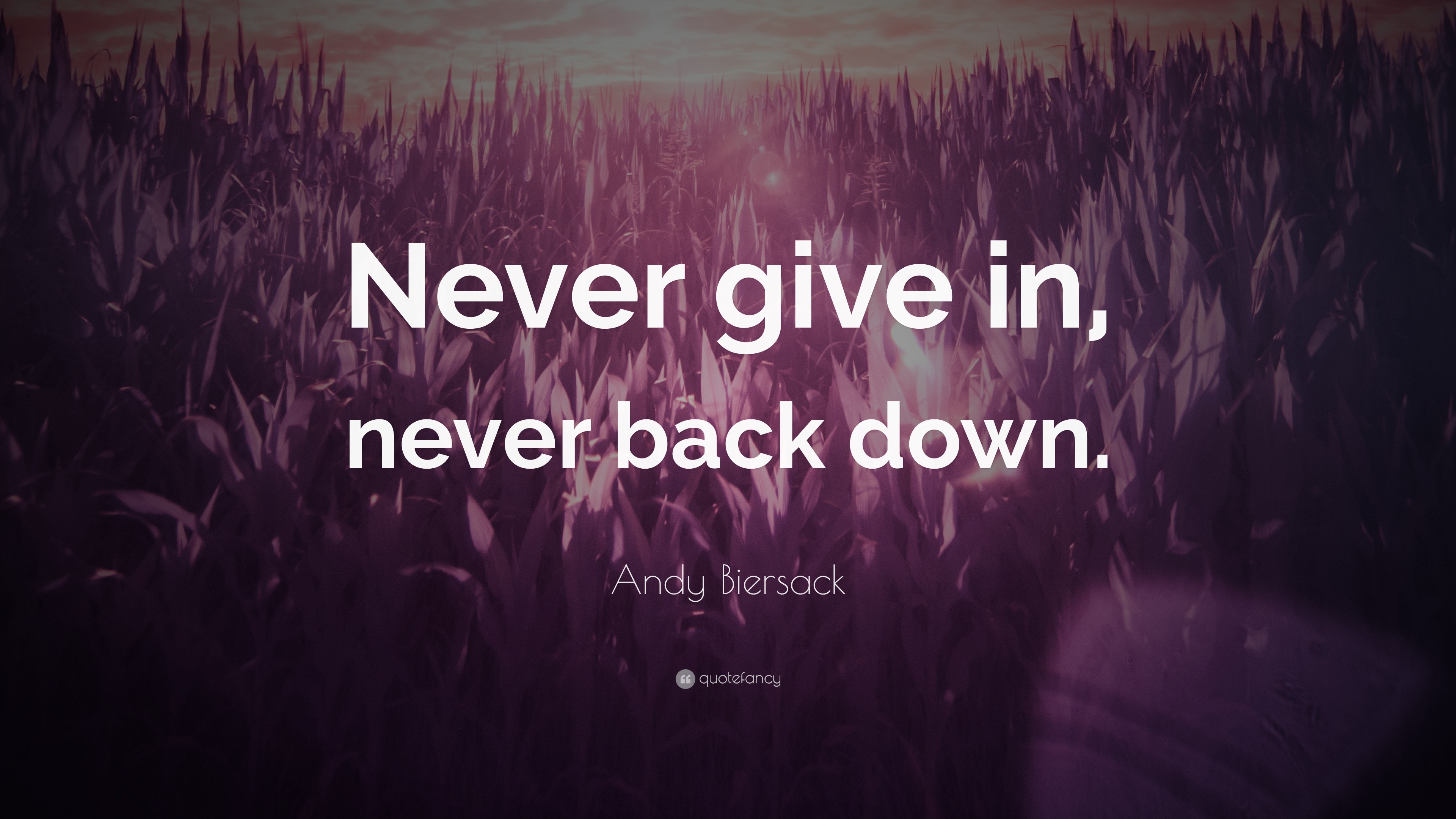 Andy Biersack Quote: “Never give in, never back down.”