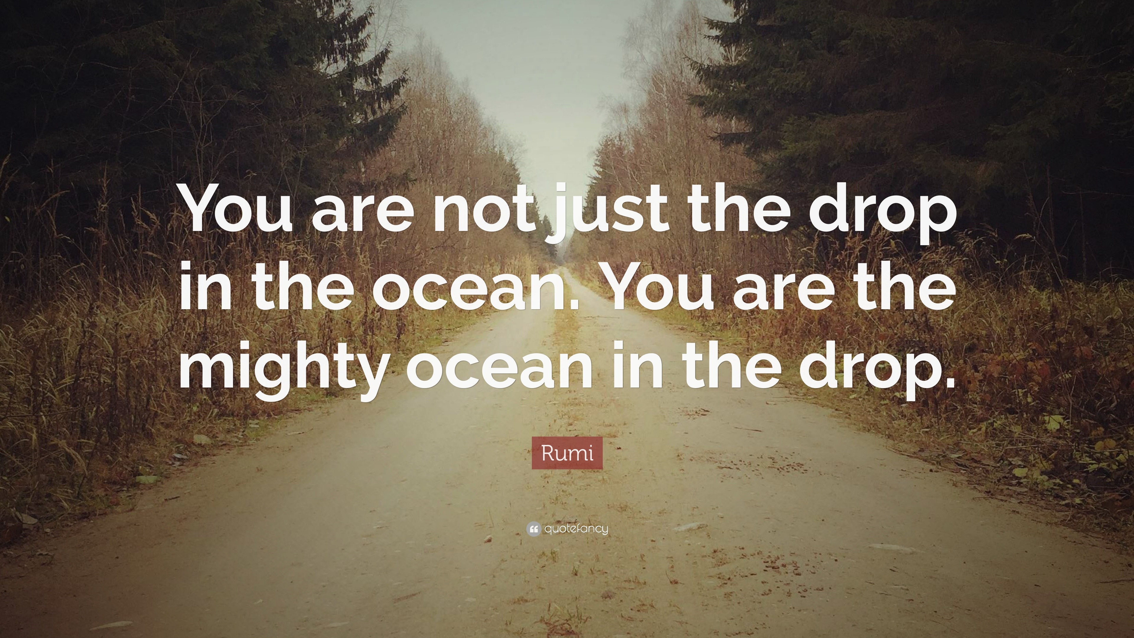 Rumi Quote: “You are not just the drop in the ocean. You are the mighty