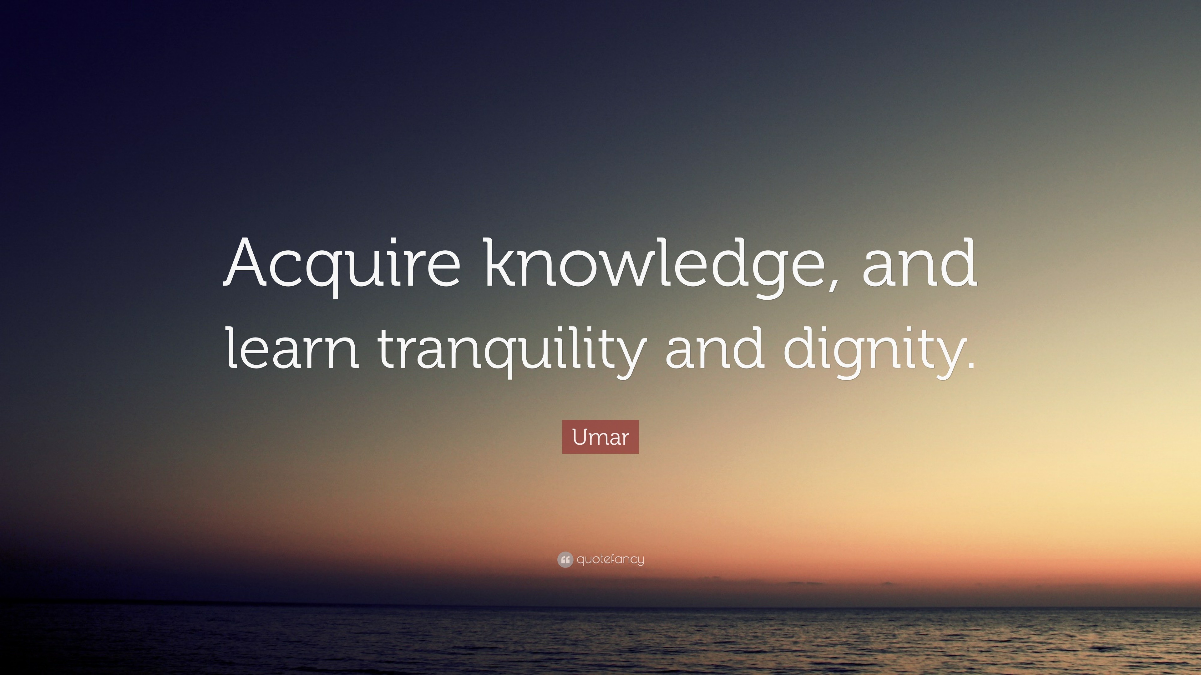 Umar Quote: “Acquire knowledge, and learn tranquility and dignity.”