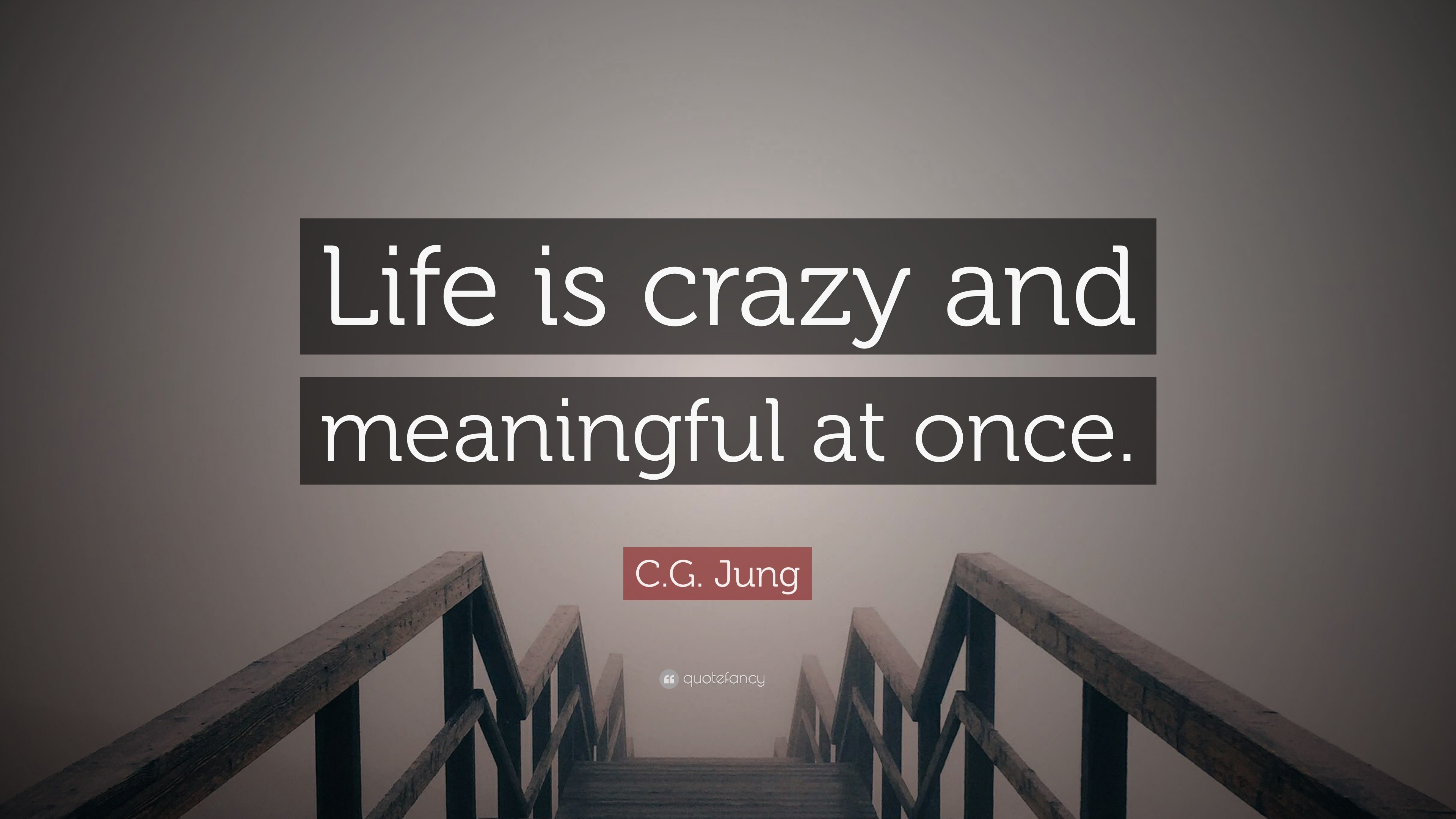 C G Jung Quote “Life is crazy and meaningful at once ”