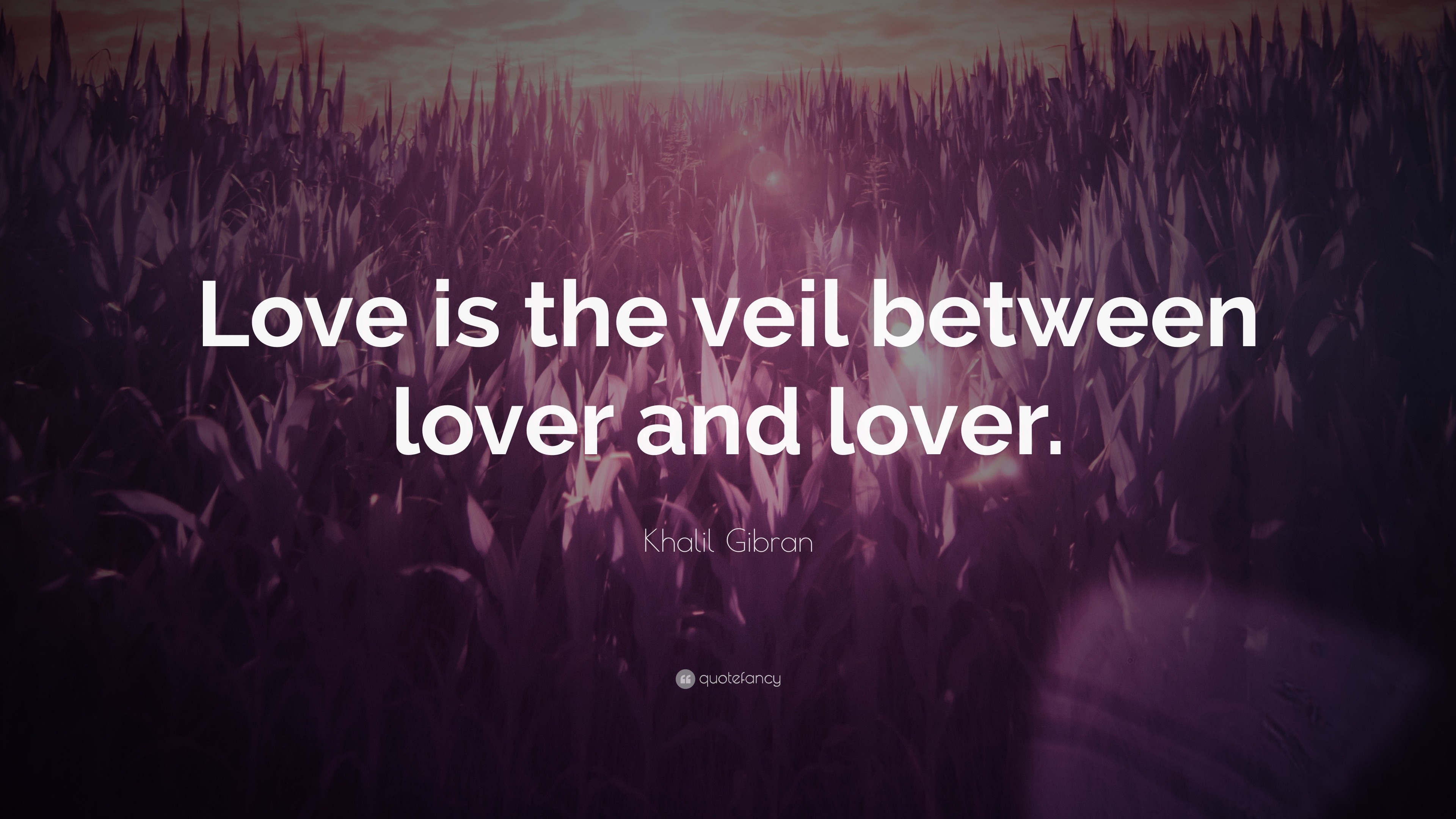 Khalil Gibran Quote: “Love is the veil between lover and lover.”