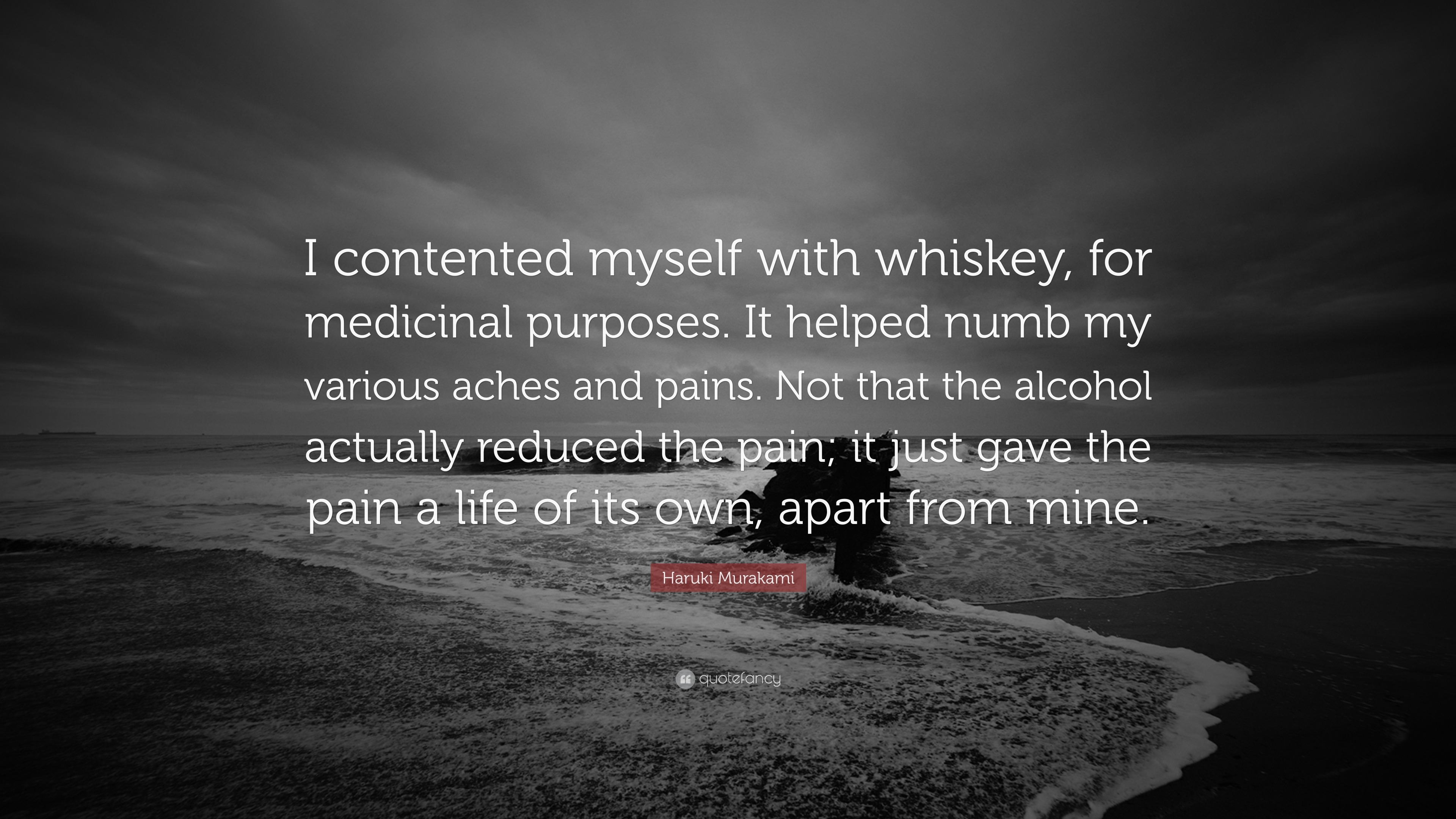 Haruki Murakami Quote: “I contented myself with whiskey, for medicinal ...