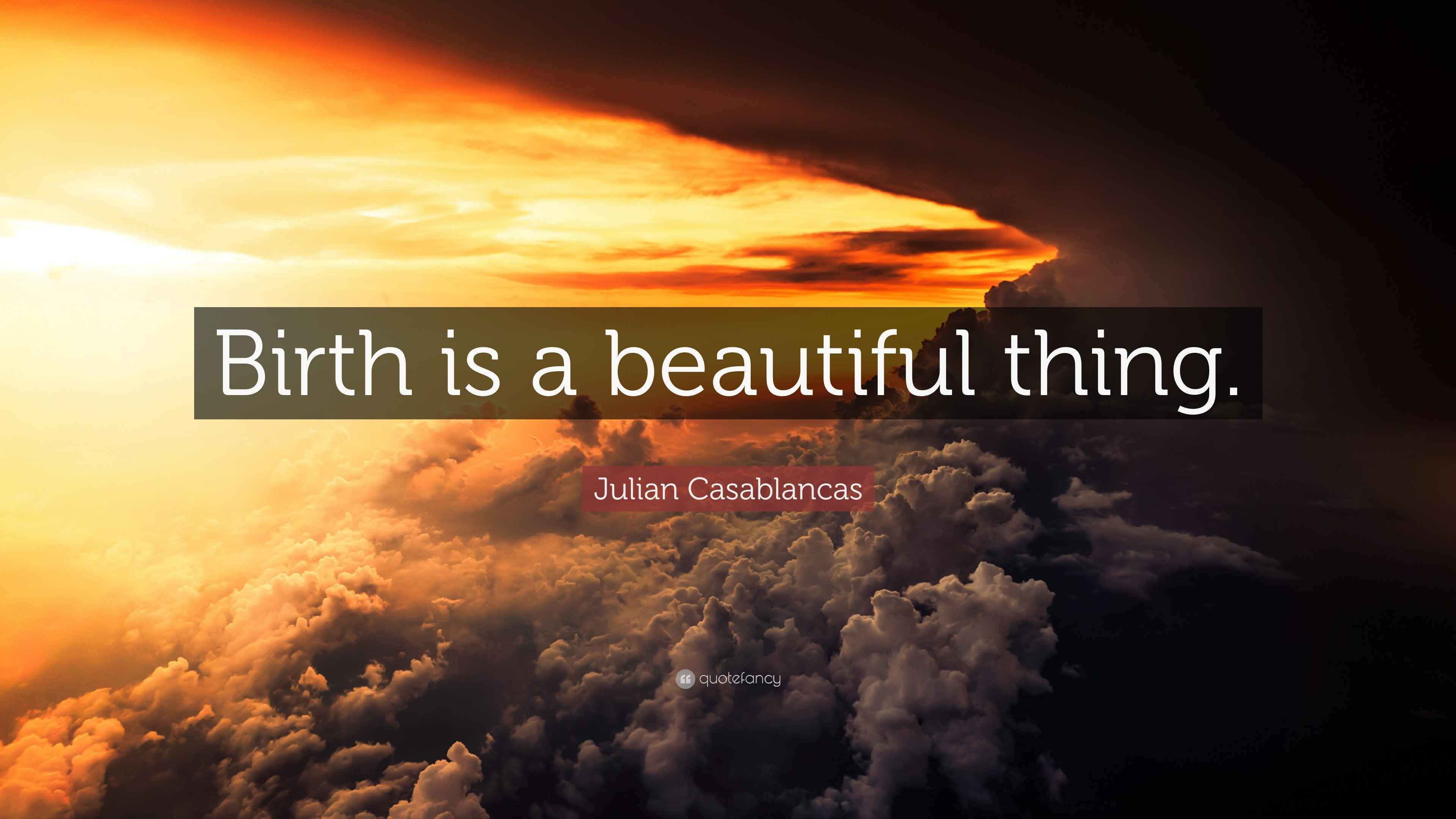 Julian Casablancas Quote “Birth is a beautiful thing.”