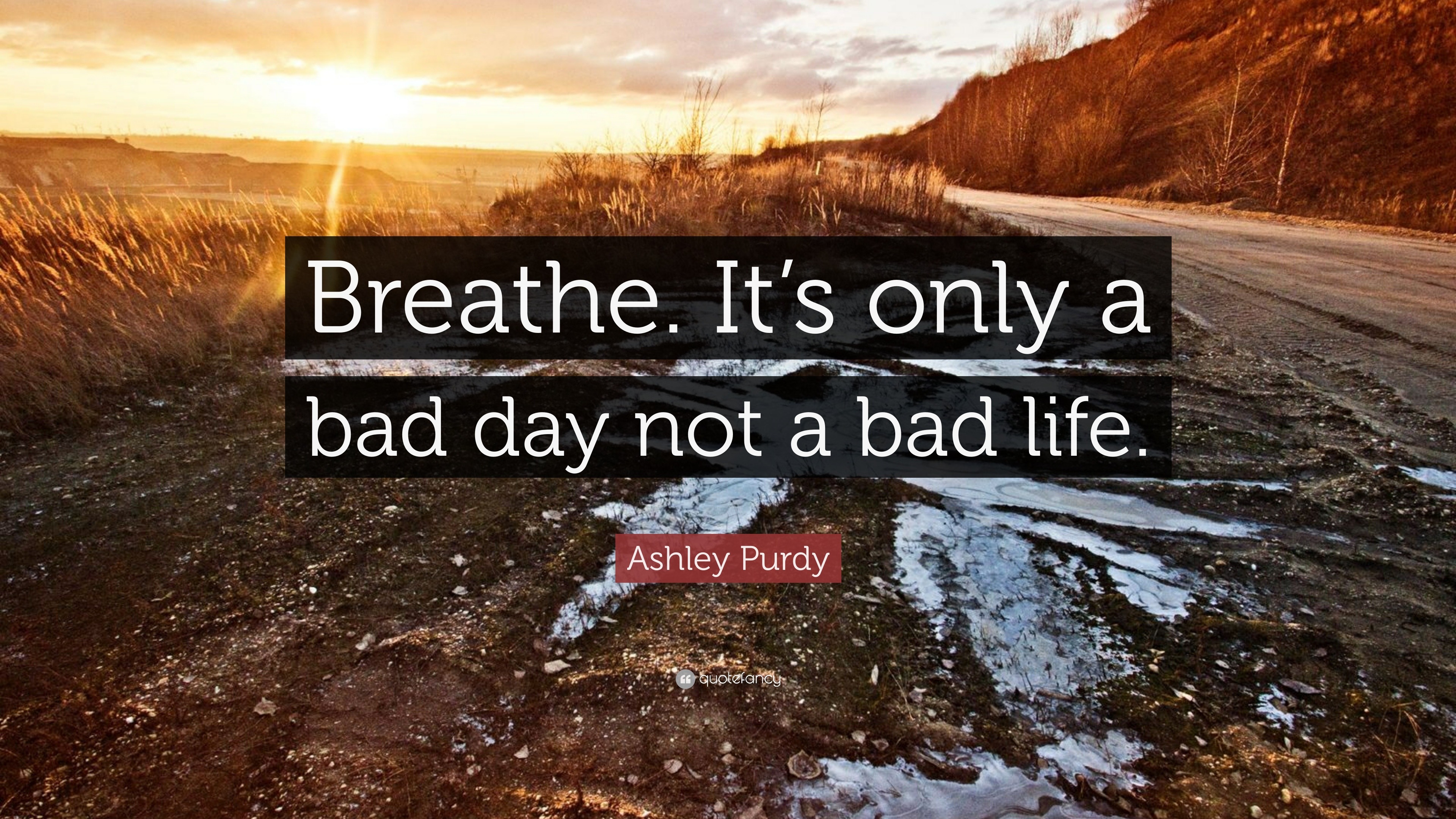 Ashley Purdy Quote: “Breathe. It's only a bad day not a bad life.”