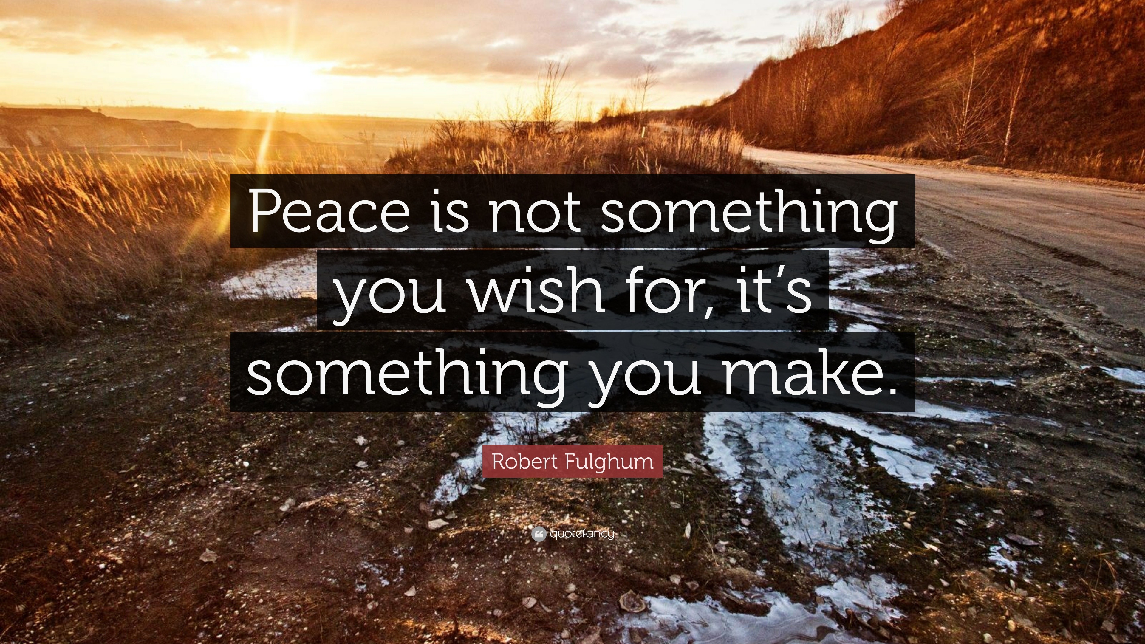 Robert Fulghum Quote: “Peace is not something you wish for, it’s ...