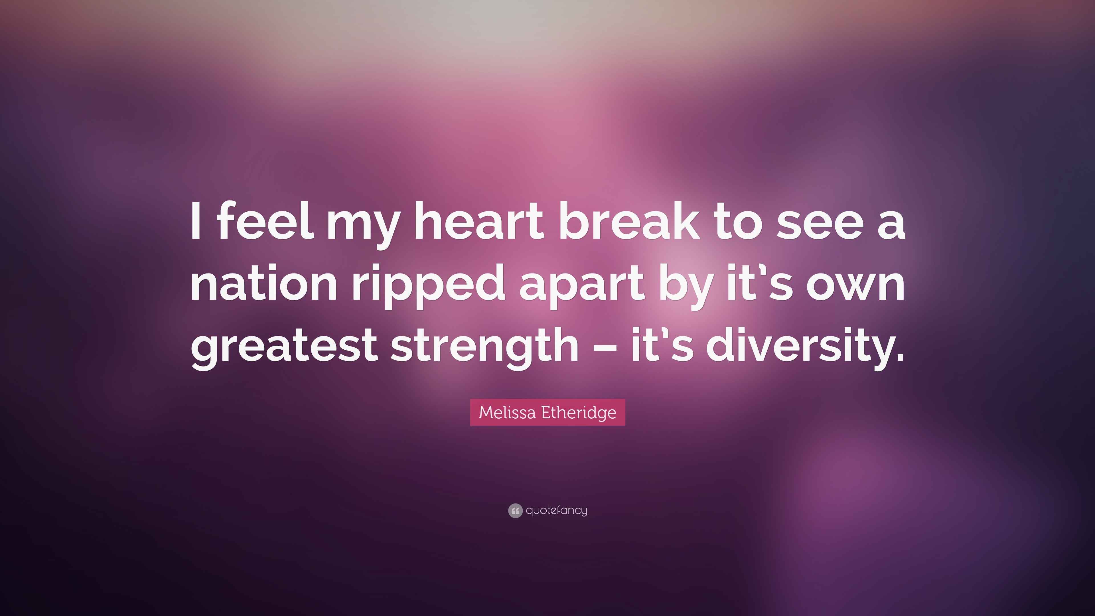 Melissa Etheridge Quote: “I feel my heart break to see a nation ripped ...