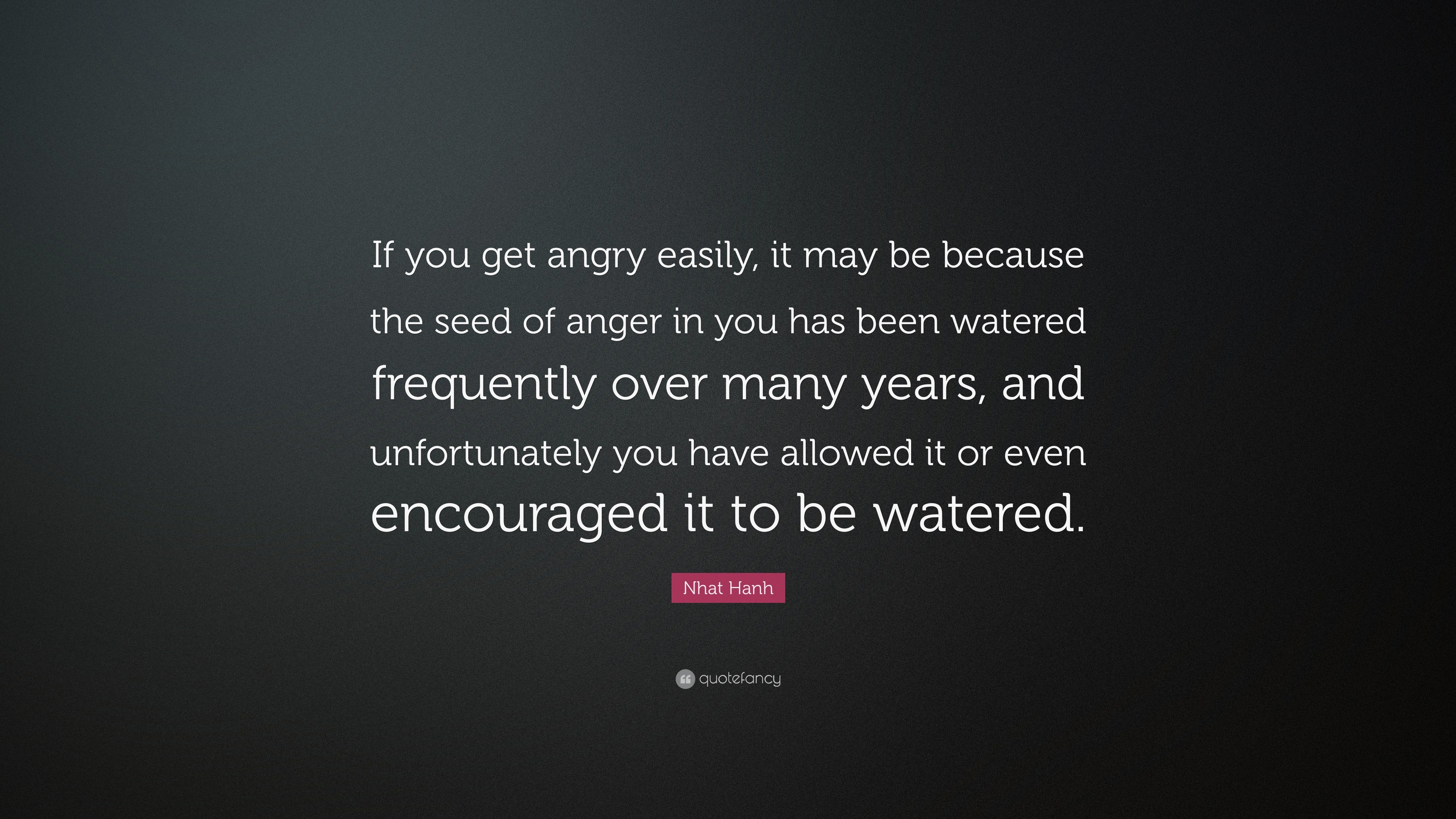 nhat-hanh-quote-if-you-get-angry-easily-it-may-be-because-the-seed