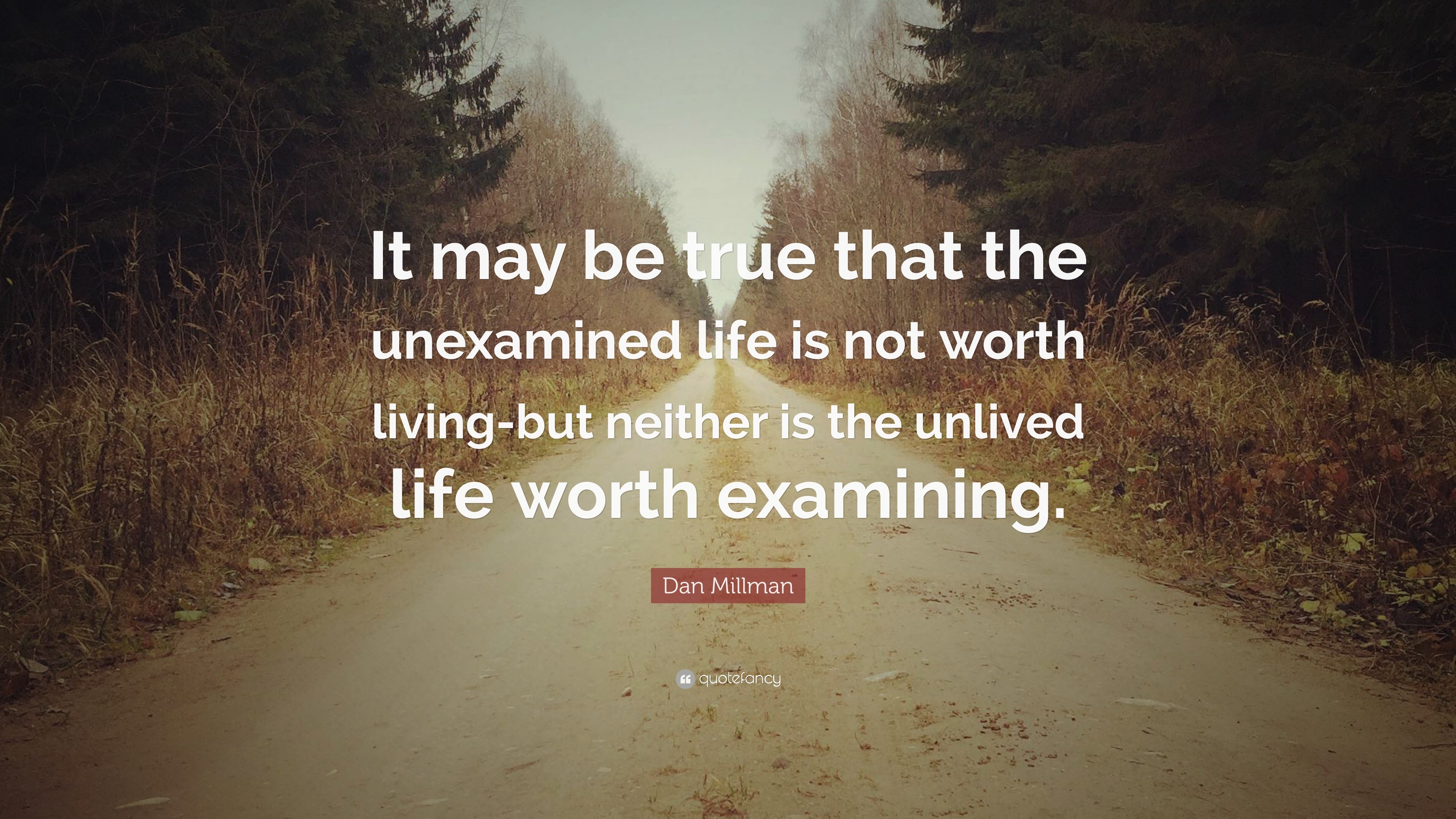The unexamined life is not worth living essay