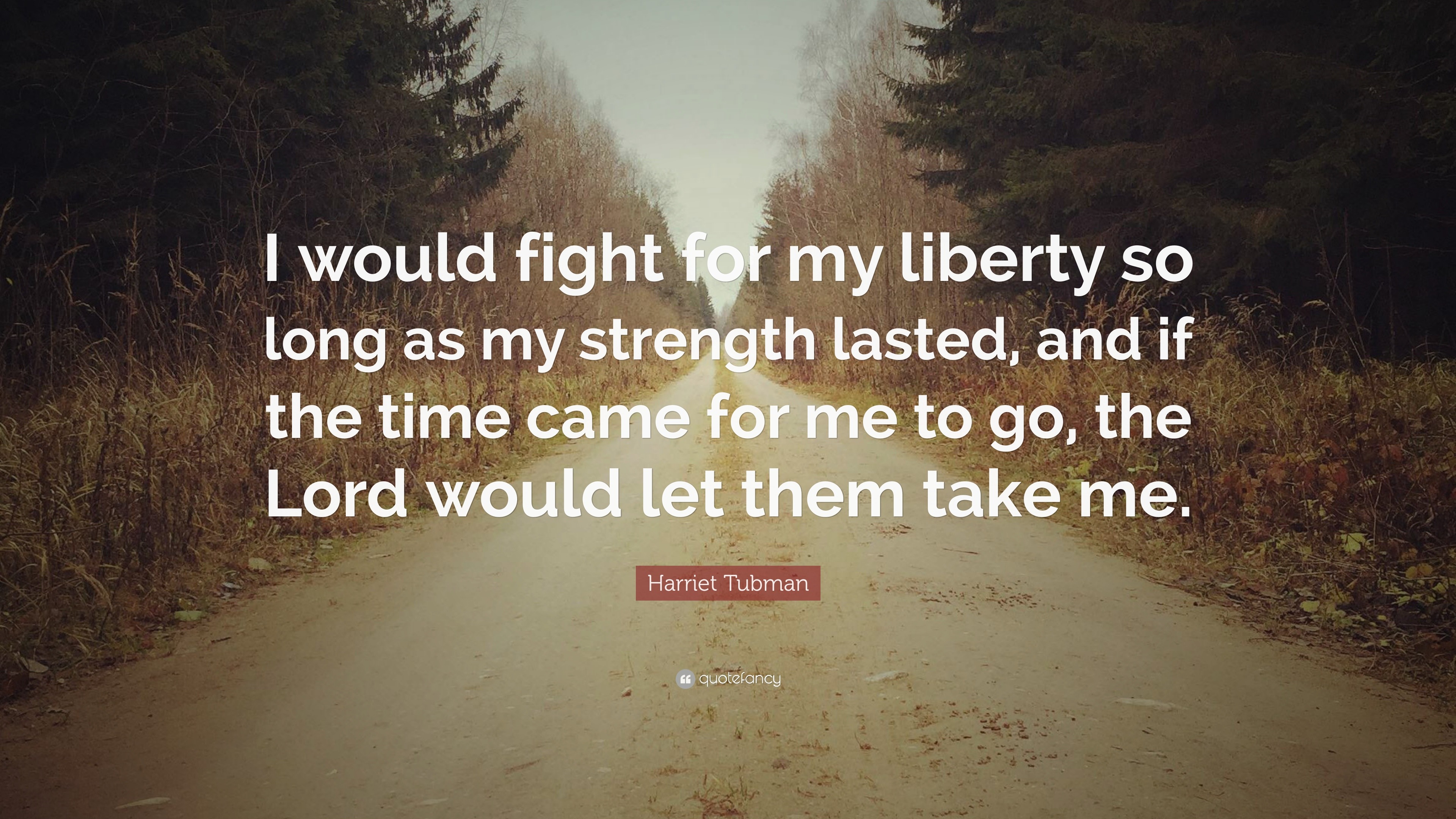 Harriet Tubman Quote: “I would fight for my liberty so long as my
