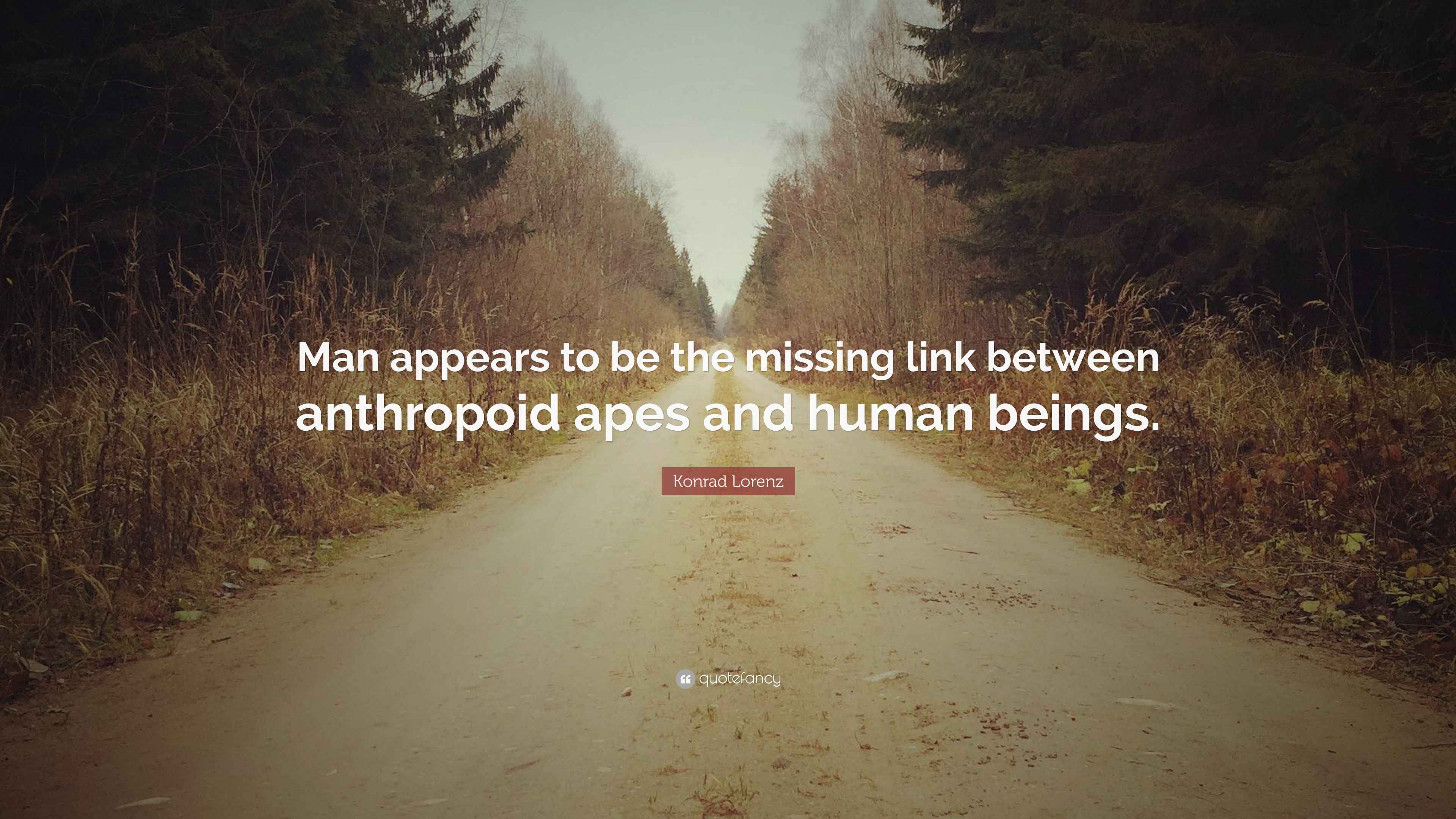 Konrad Lorenz Quote: “Man appears to be the missing link between ...