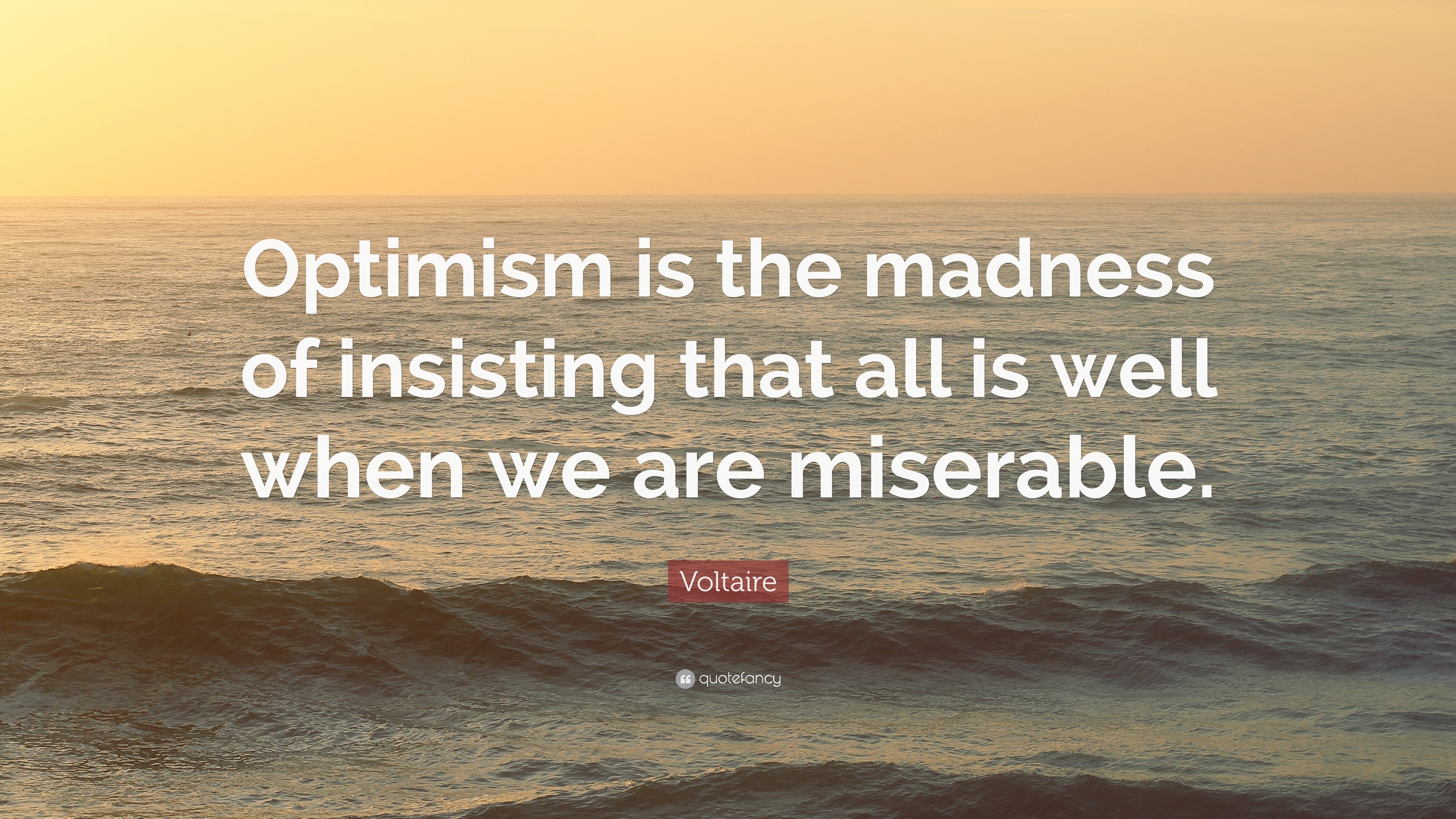 Voltaire optimism