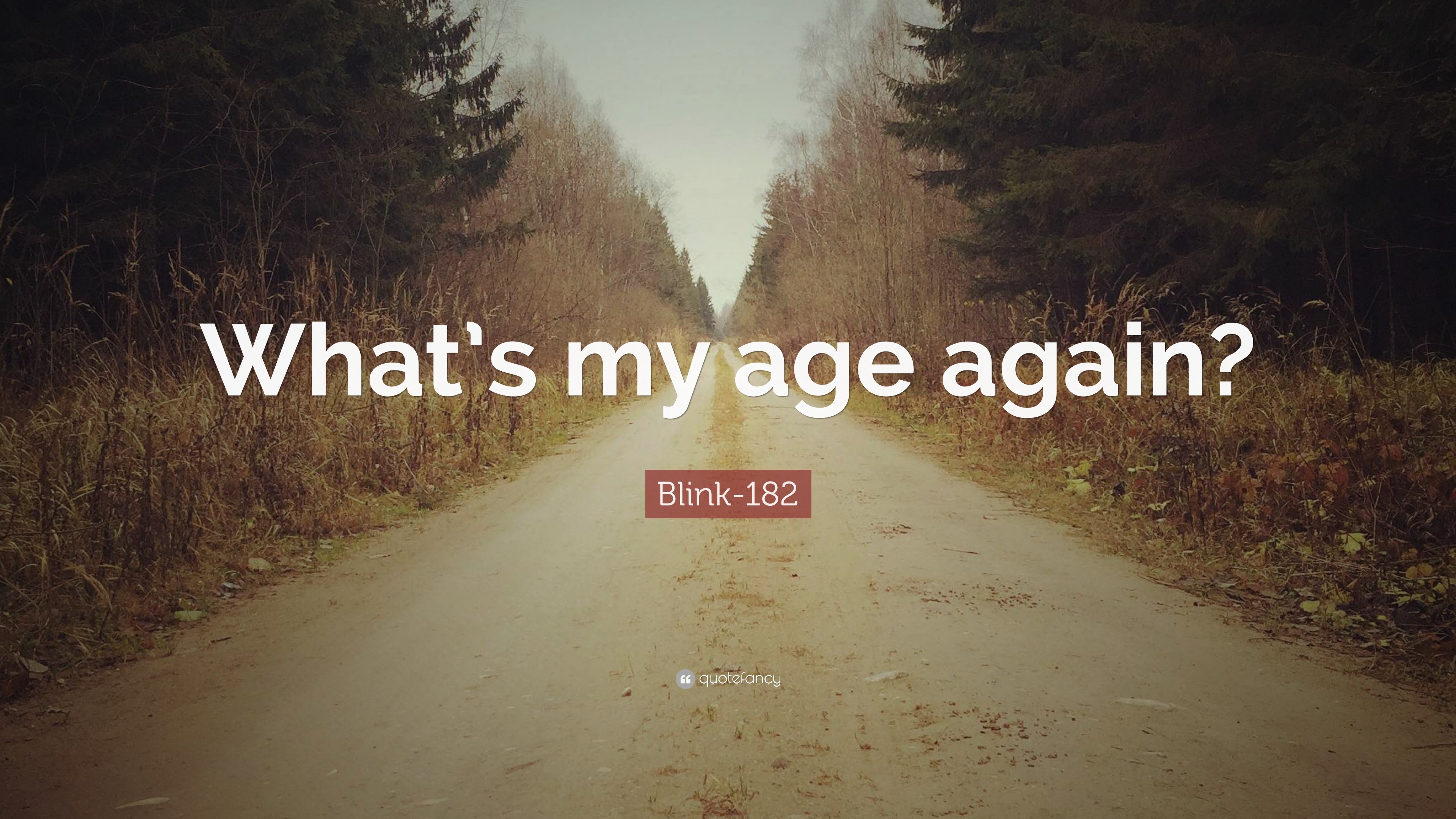 Blink-182 Quote: “What’s my age again?”
